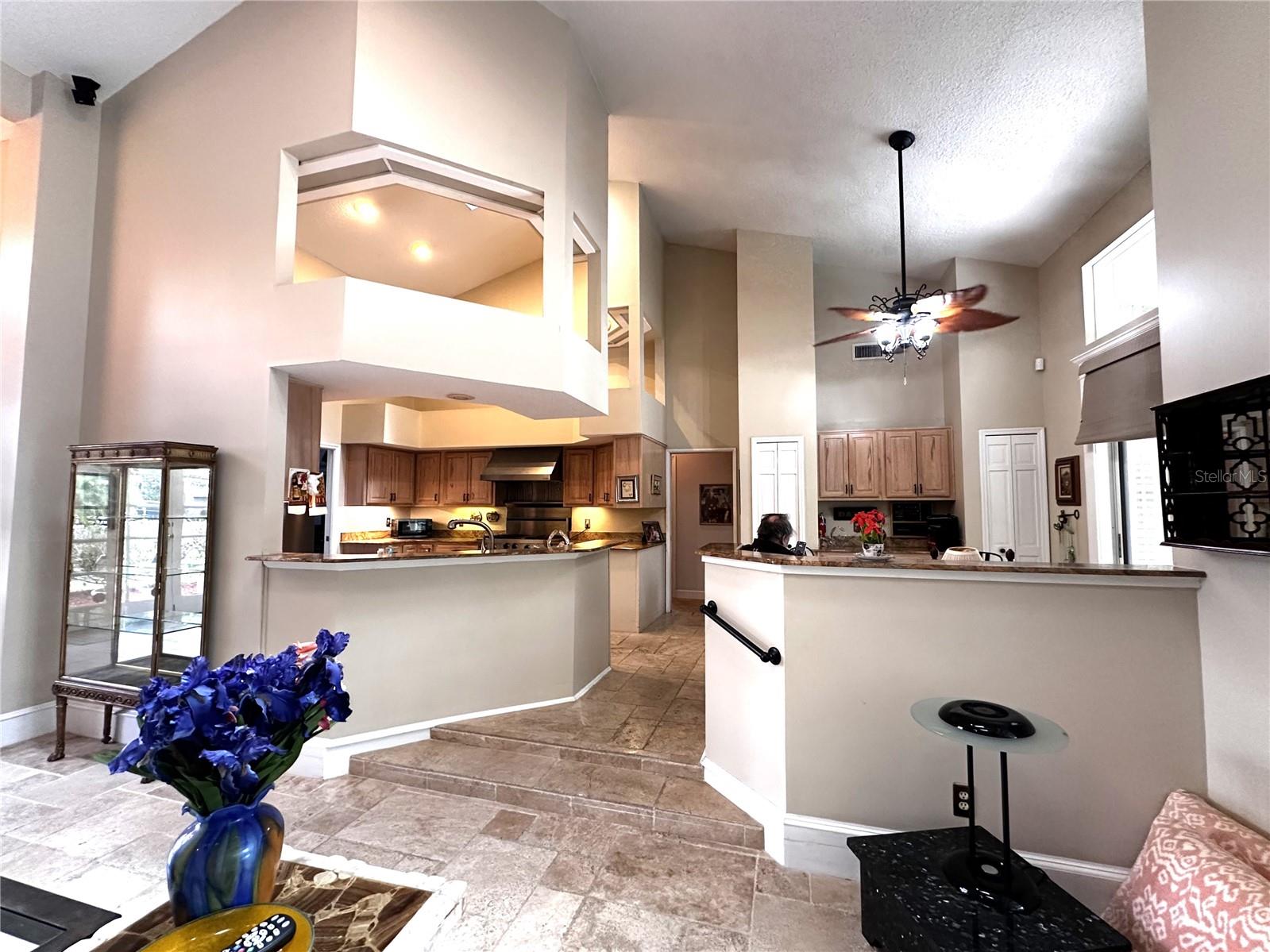 8935 JONATHAN MANOR DR, ORLANDO, FL, 32819