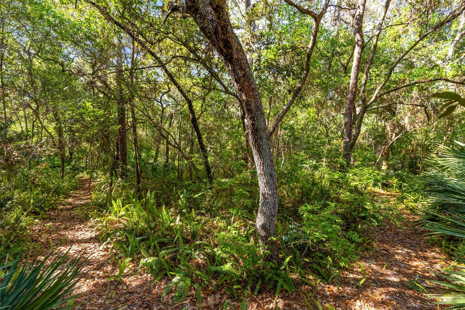 855 DYSON DR, WINTER SPRINGS, FL, 32708