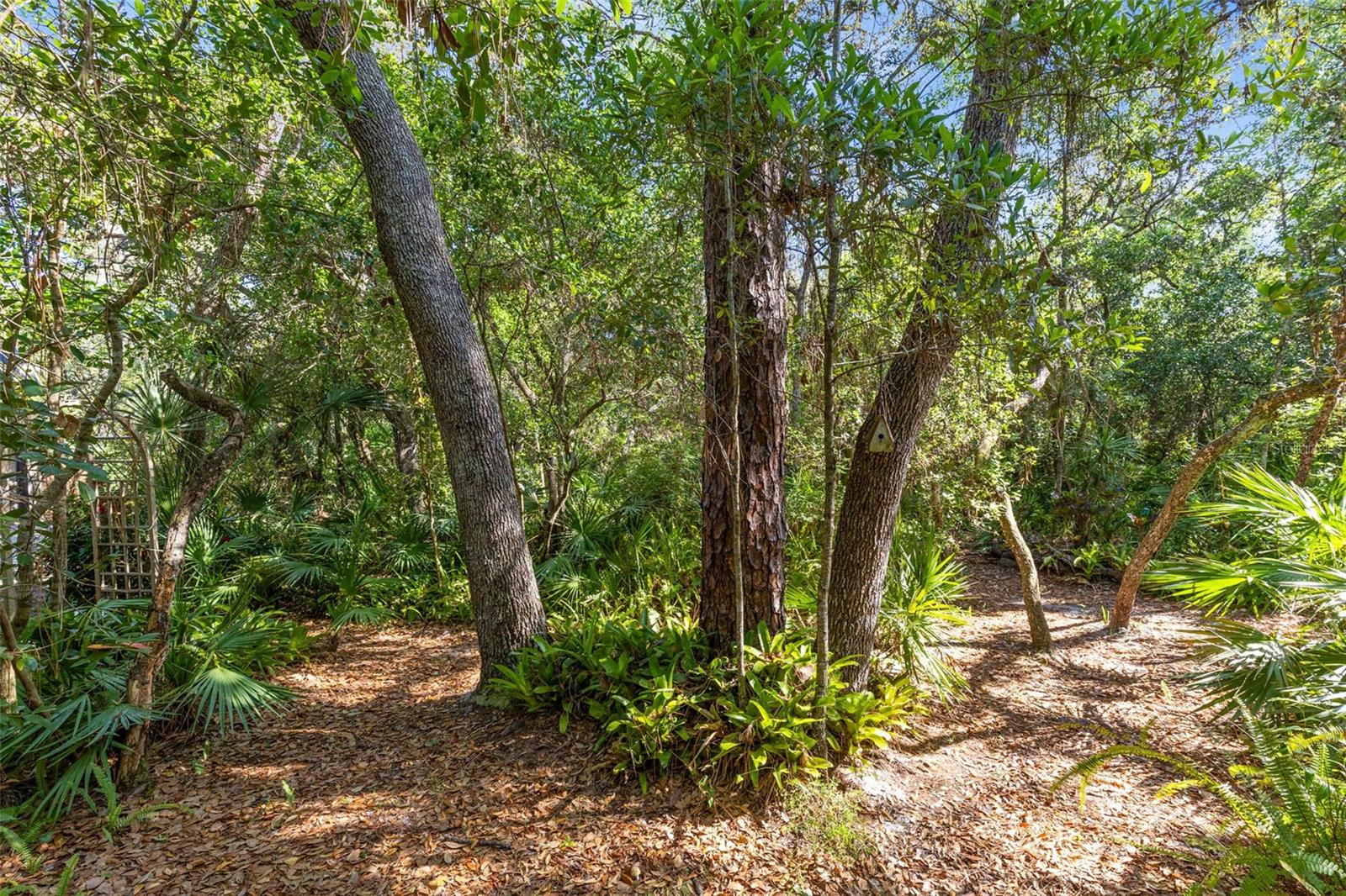 855 DYSON DR, WINTER SPRINGS, FL, 32708