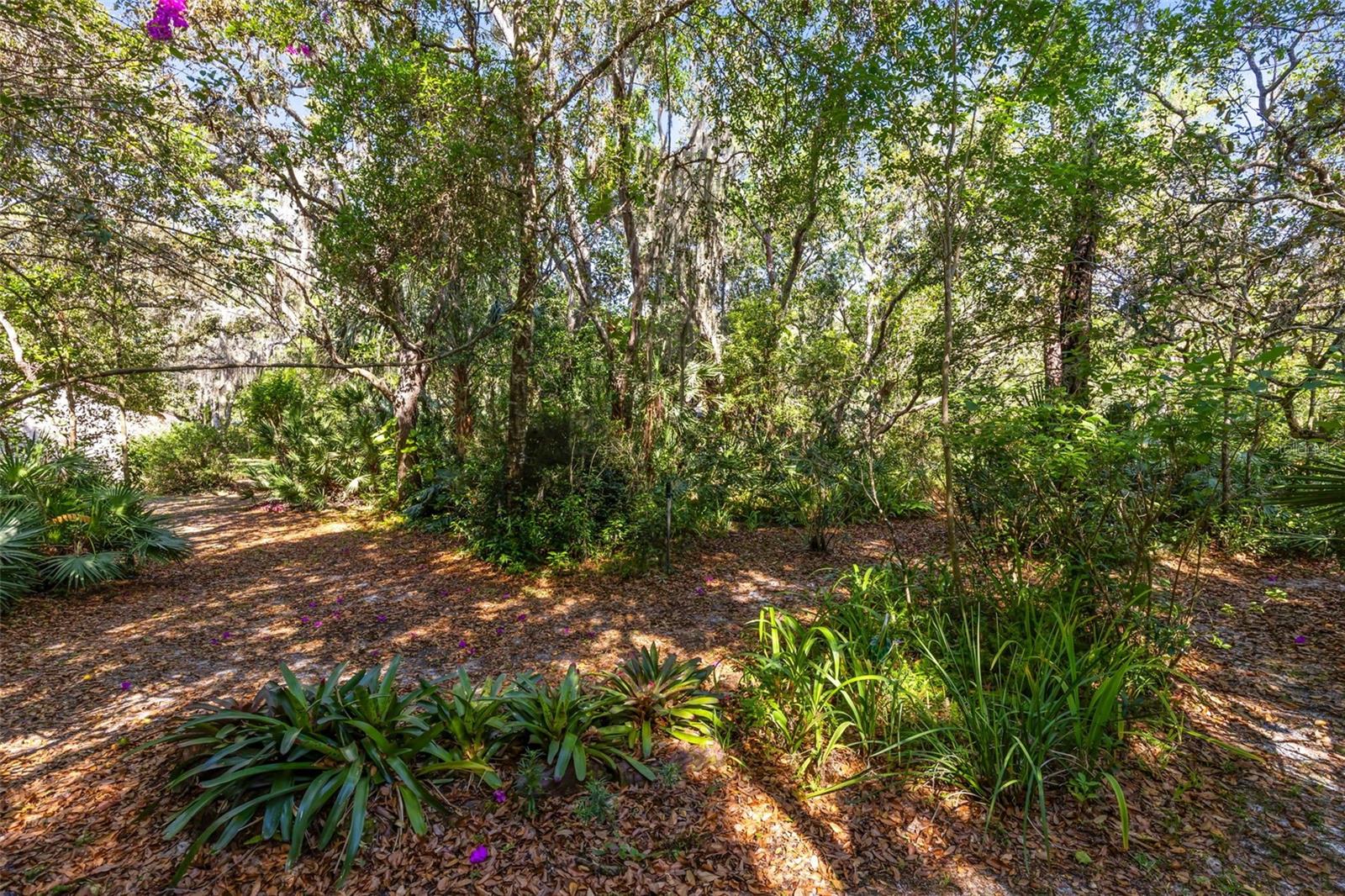 855 DYSON DR, WINTER SPRINGS, FL, 32708