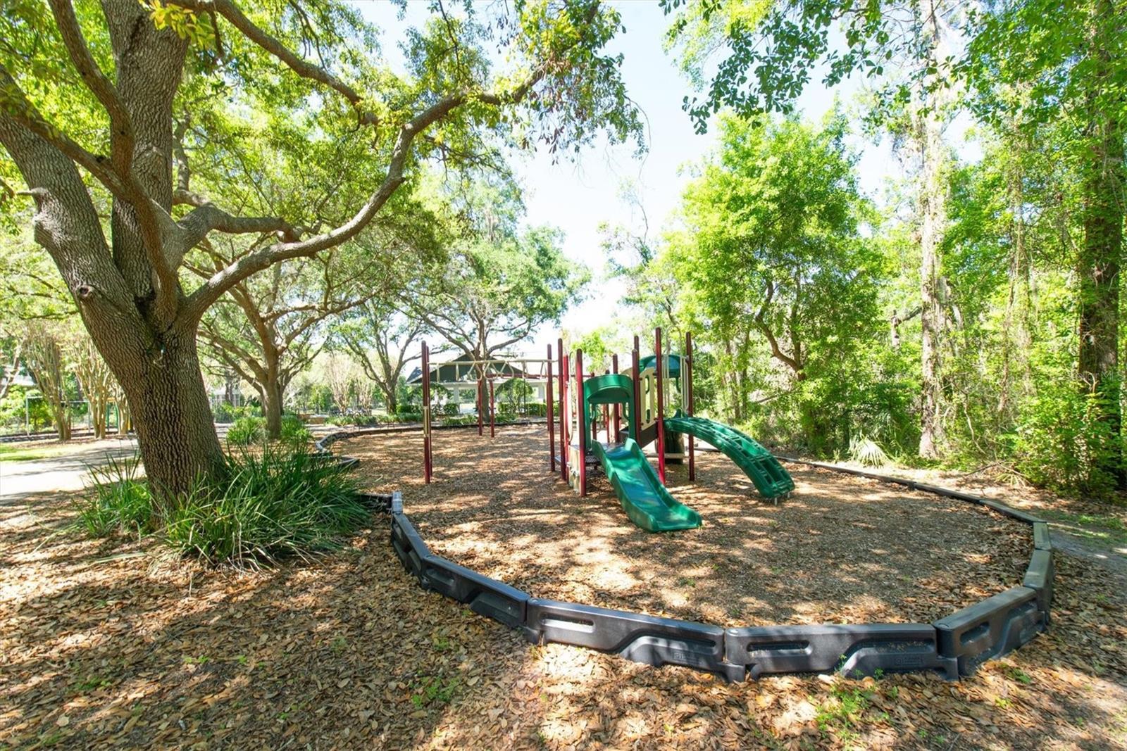 5807 THOREAU PL, LITHIA, FL, 33547