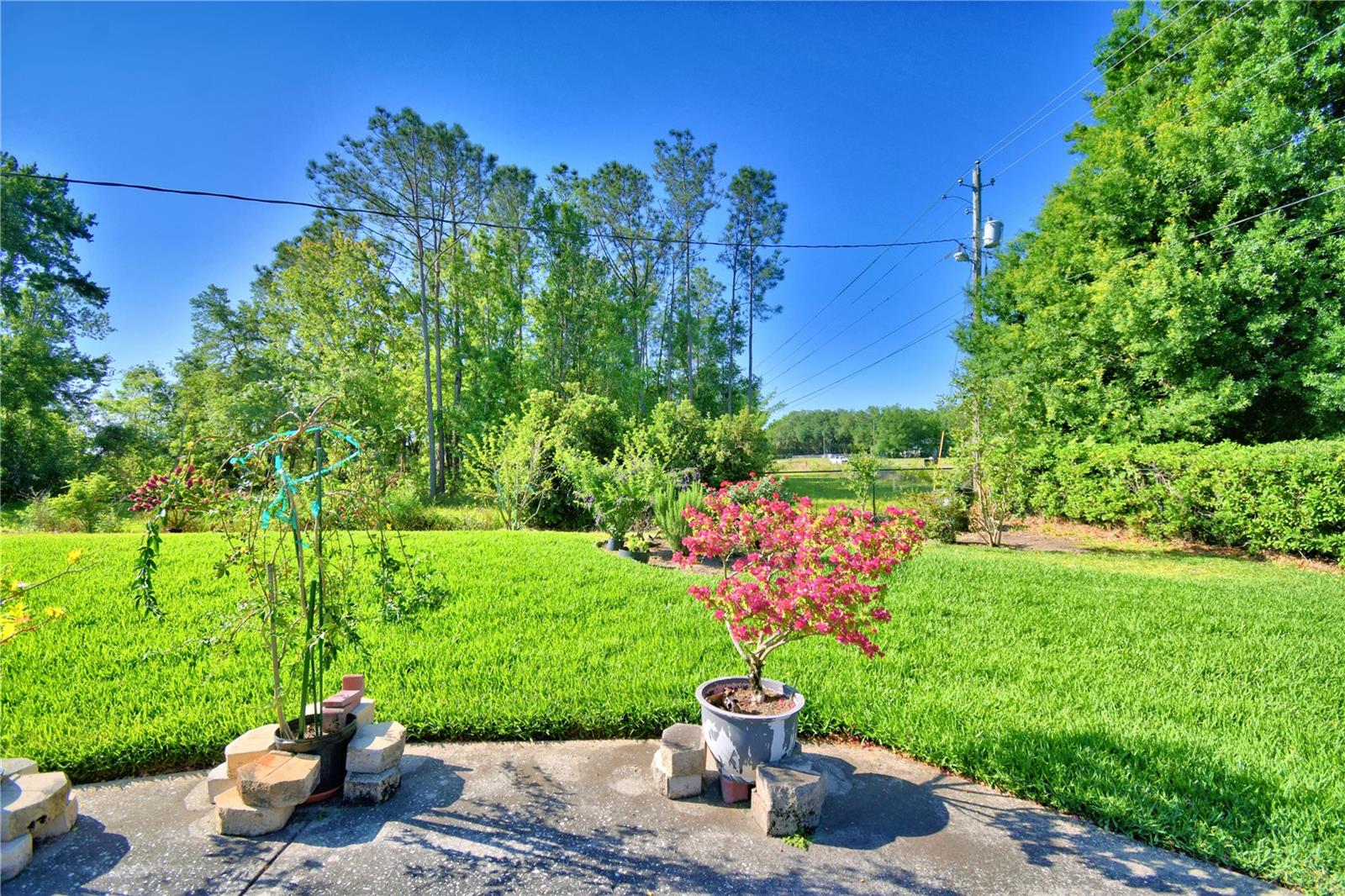 2611 STATE ROAD 557, LAKE ALFRED, FL, 33850