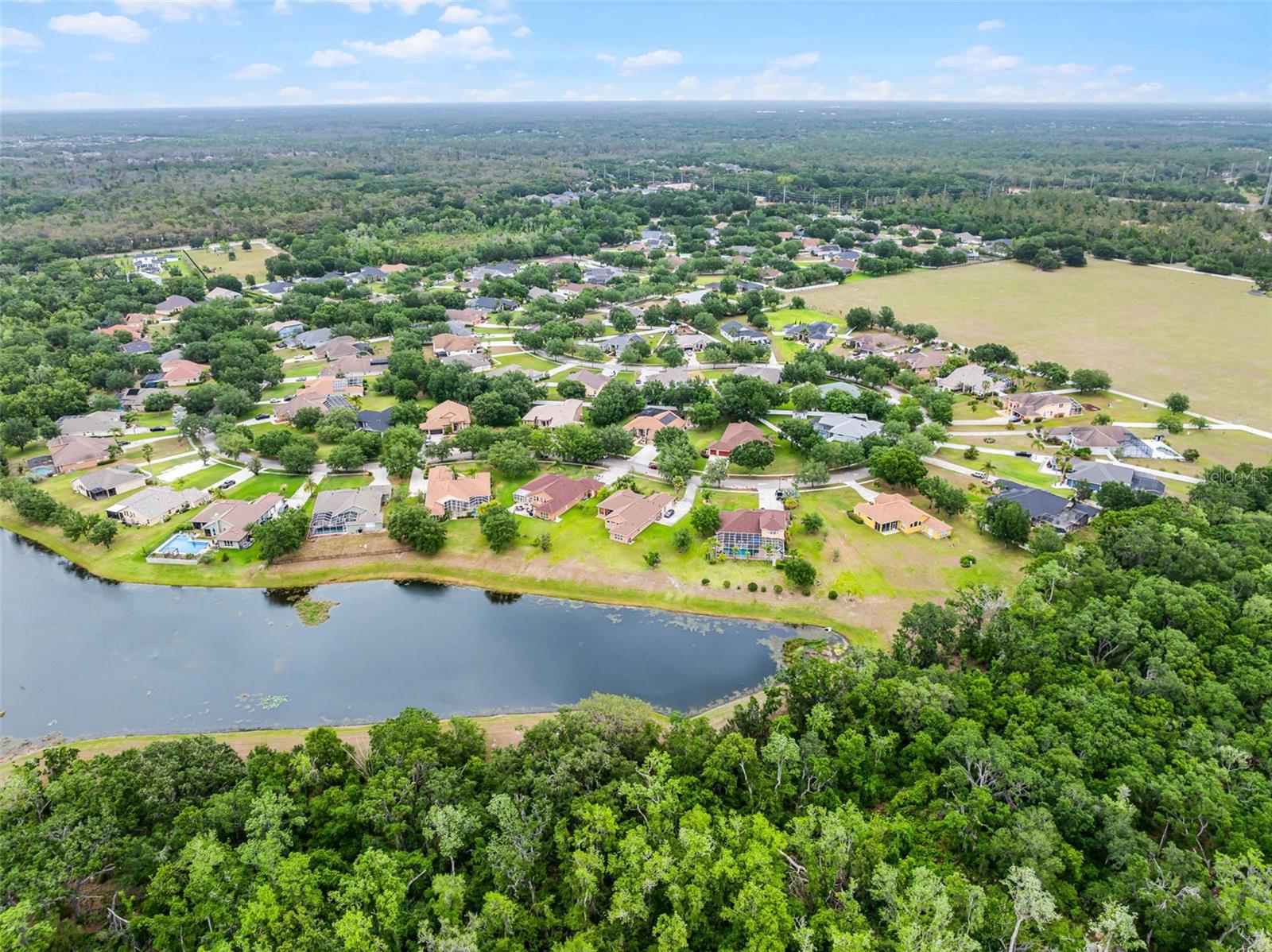 12320 CREEK EDGE DR, RIVERVIEW, FL, 33579