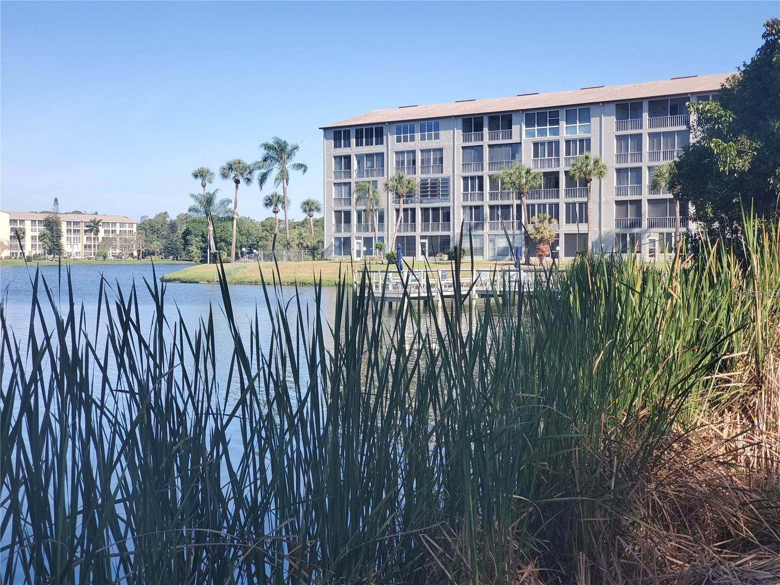 3454 LAKE BAYSHORE DR #420 BLDG P, BRADENTON, FL, 34205