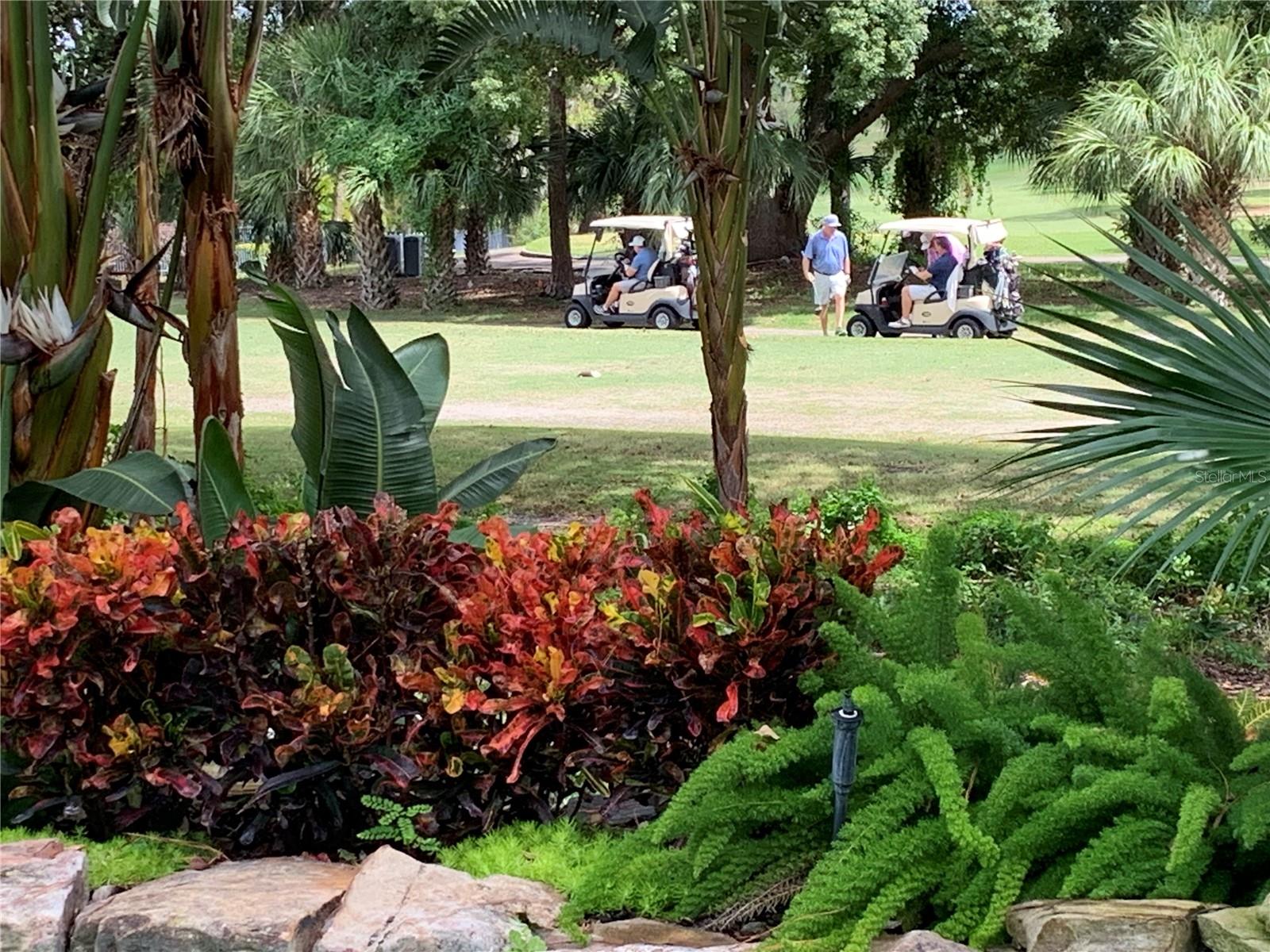 TB8372778 Property Photo