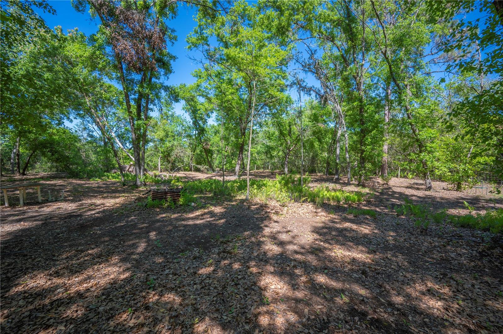 10905 COUNTRY VIEW DR, LAKELAND, FL, 33809