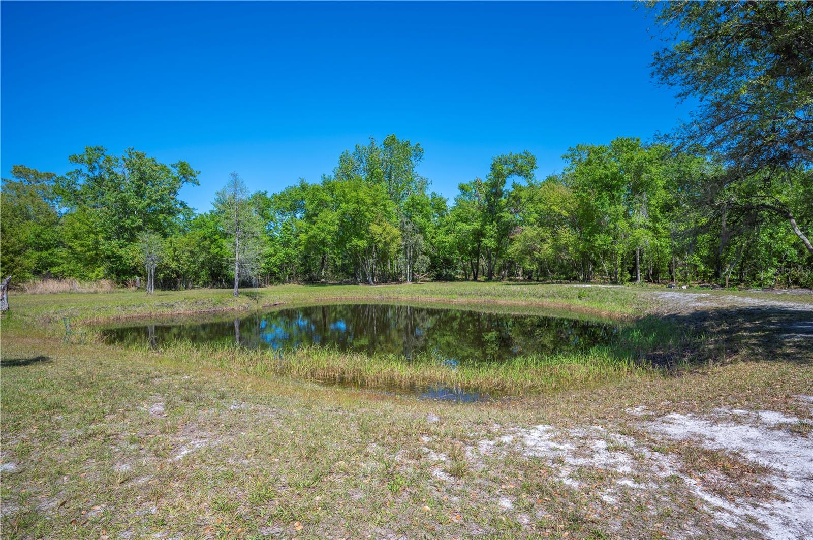 10905 COUNTRY VIEW DR, LAKELAND, FL, 33809