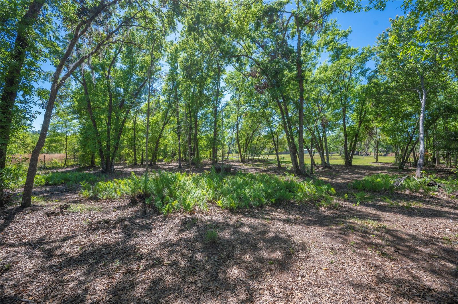 10905 COUNTRY VIEW DR, LAKELAND, FL, 33809