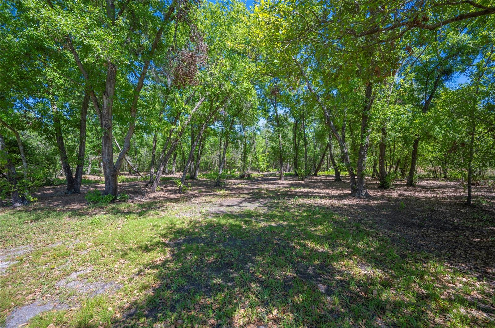 10905 COUNTRY VIEW DR, LAKELAND, FL, 33809