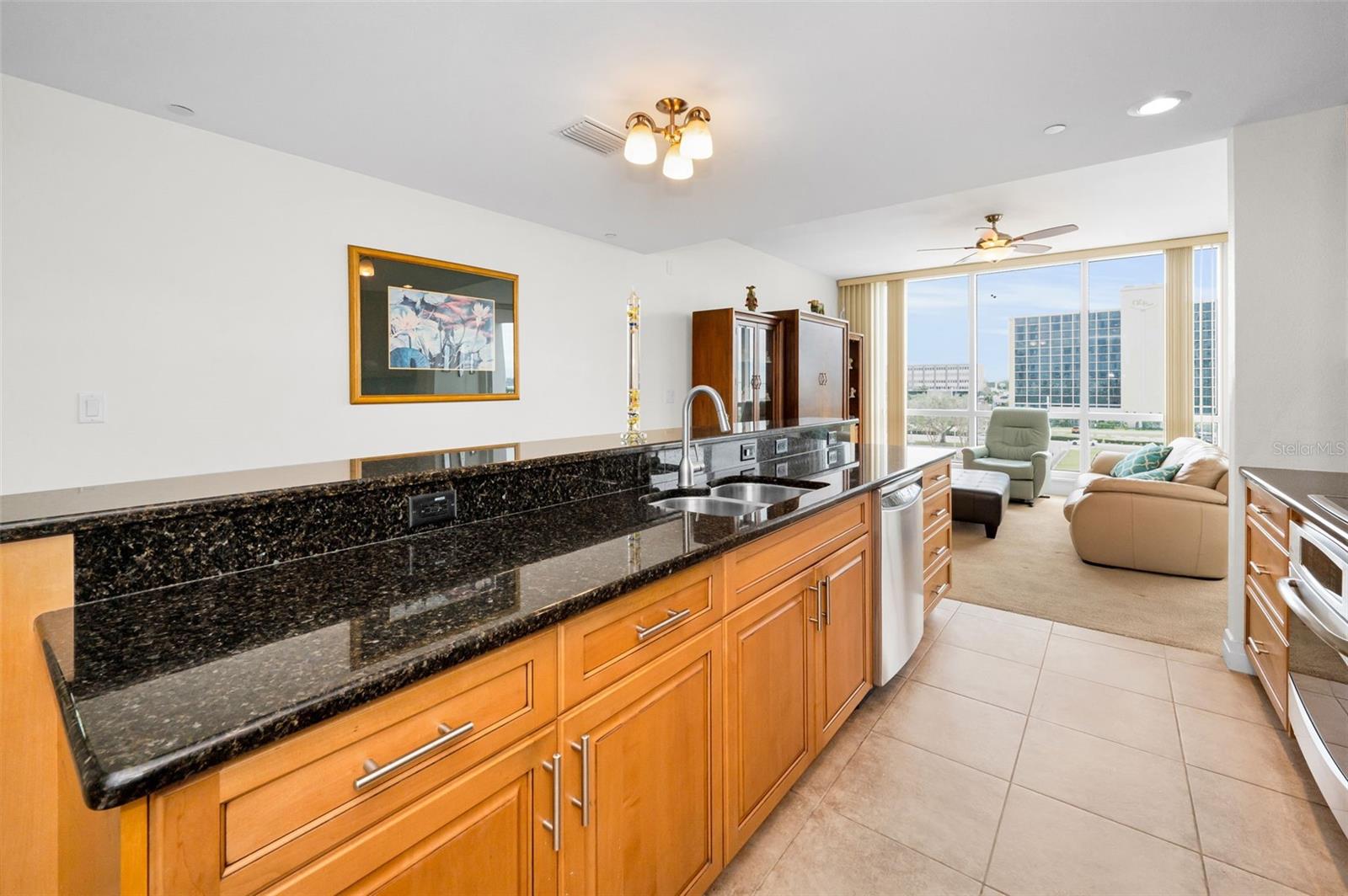 331 CLEVELAND ST #402, CLEARWATER, FL, 33755