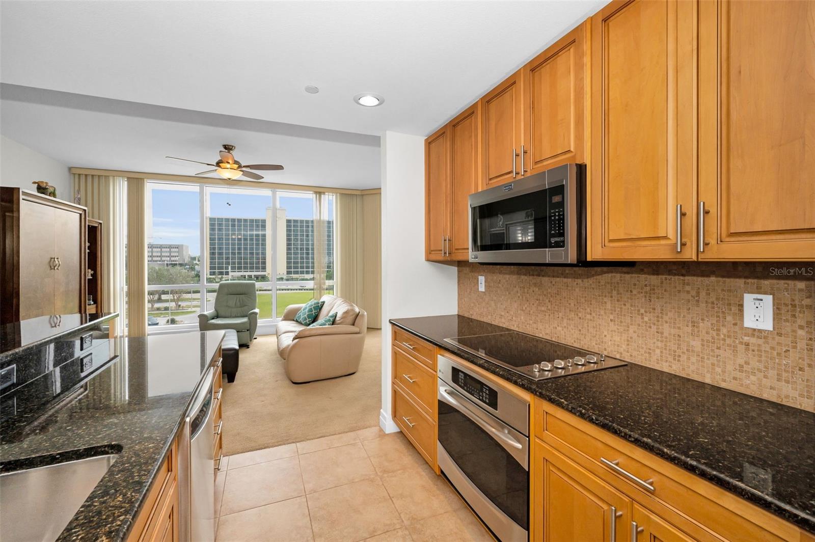 331 CLEVELAND ST #402, CLEARWATER, FL, 33755