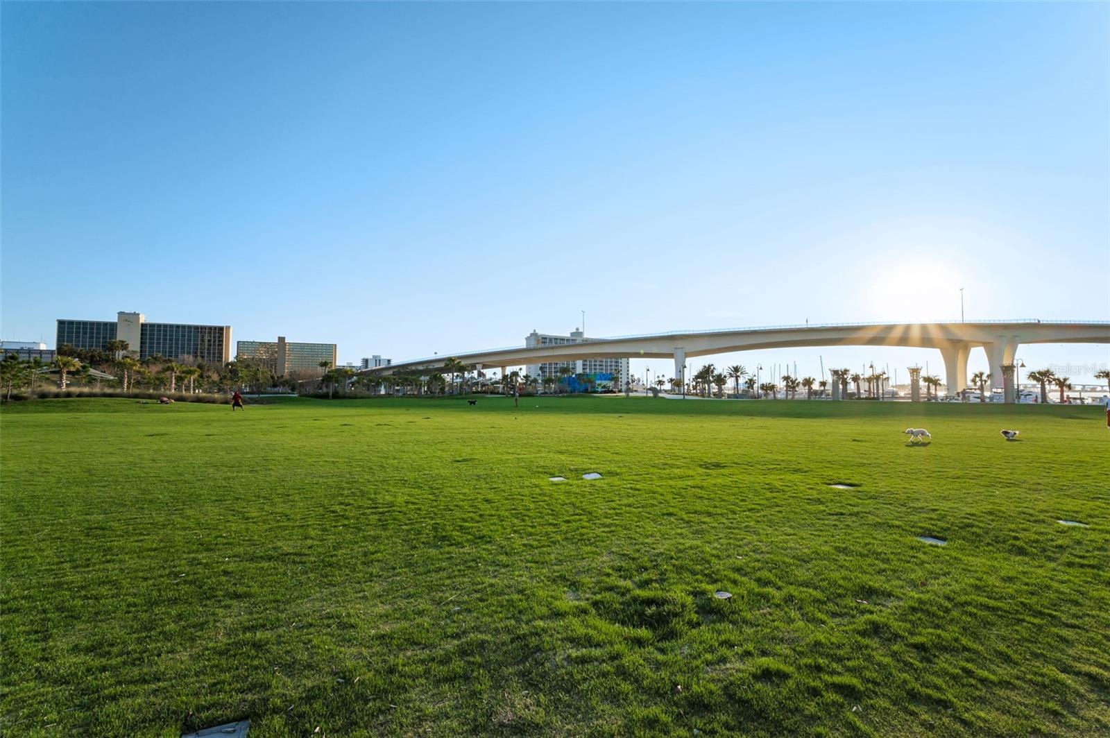 331 CLEVELAND ST #402, CLEARWATER, FL, 33755