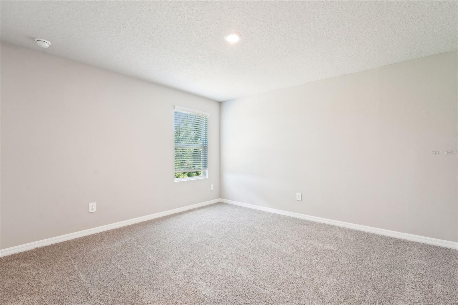 3904 RADIANT MOUNTAIN DR, PLANT CITY, FL, 33565