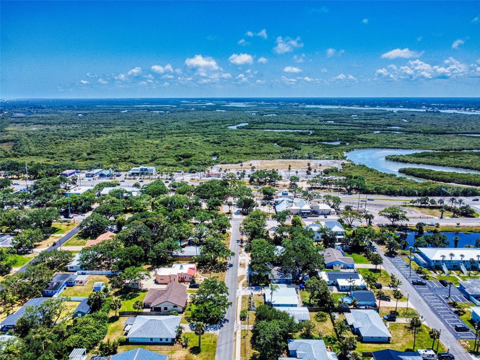650 S PINE ST, NEW SMYRNA BEACH, FL, 32169