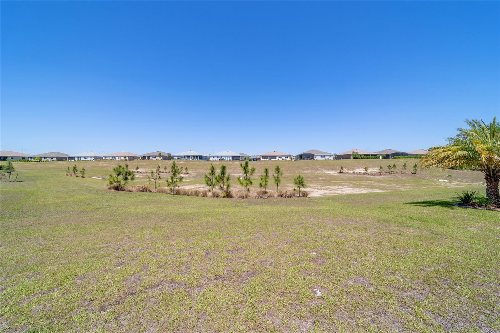 10033 SW 96TH ST, OCALA, FL, 34481