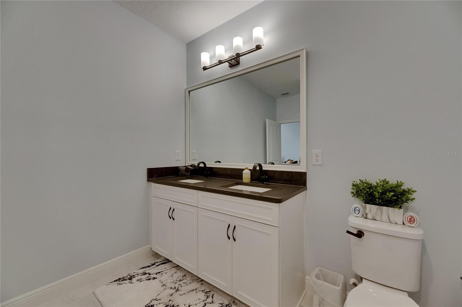 14421 SWISS BRIDGE DR, LITHIA, FL, 33547