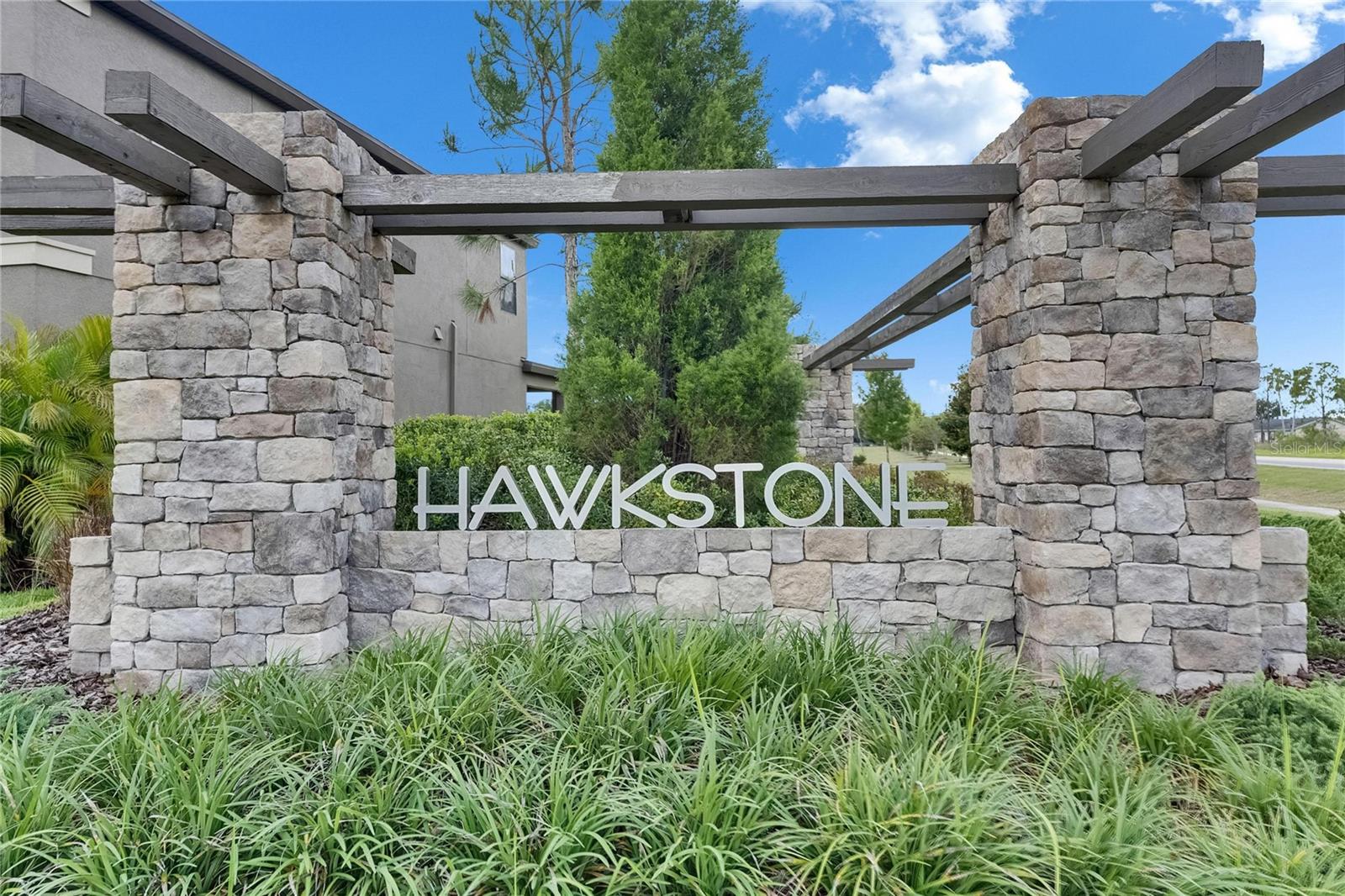 14421 SWISS BRIDGE DR, LITHIA, FL, 33547