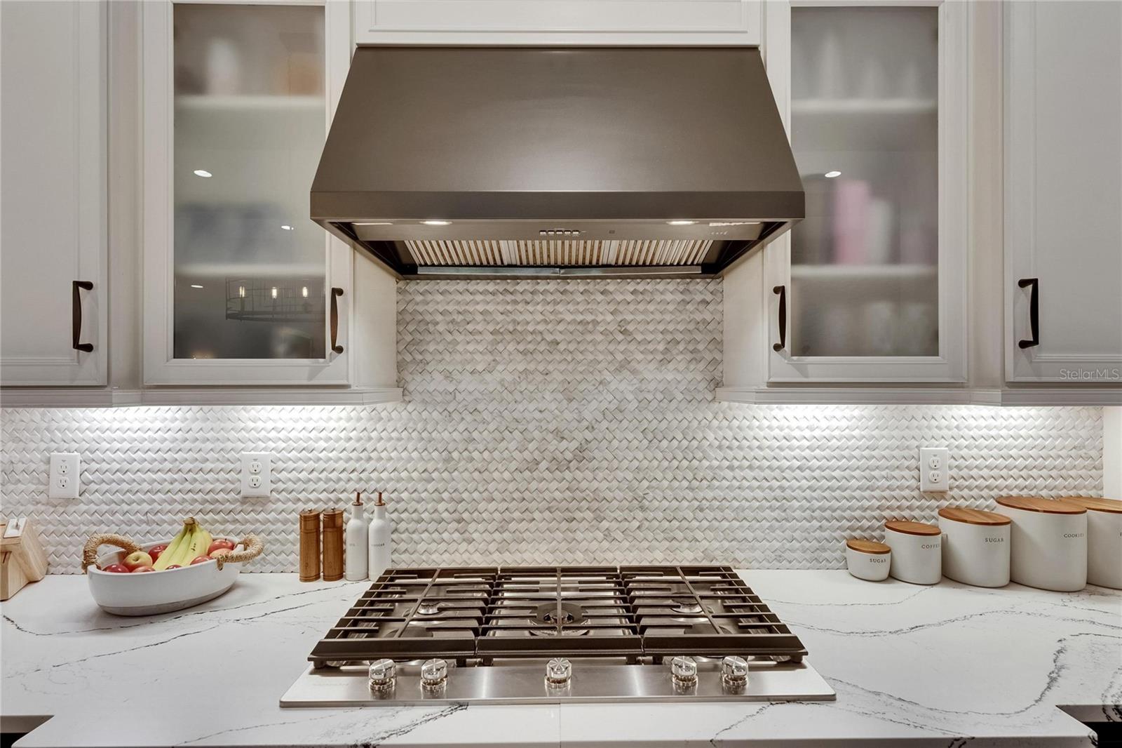 14421 SWISS BRIDGE DR, LITHIA, FL, 33547