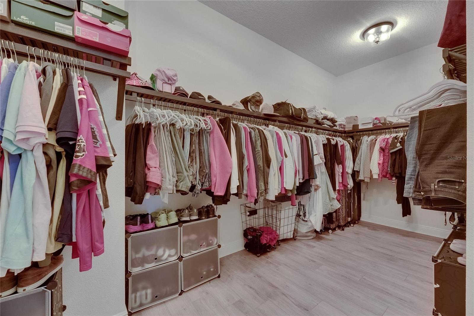 14421 SWISS BRIDGE DR, LITHIA, FL, 33547