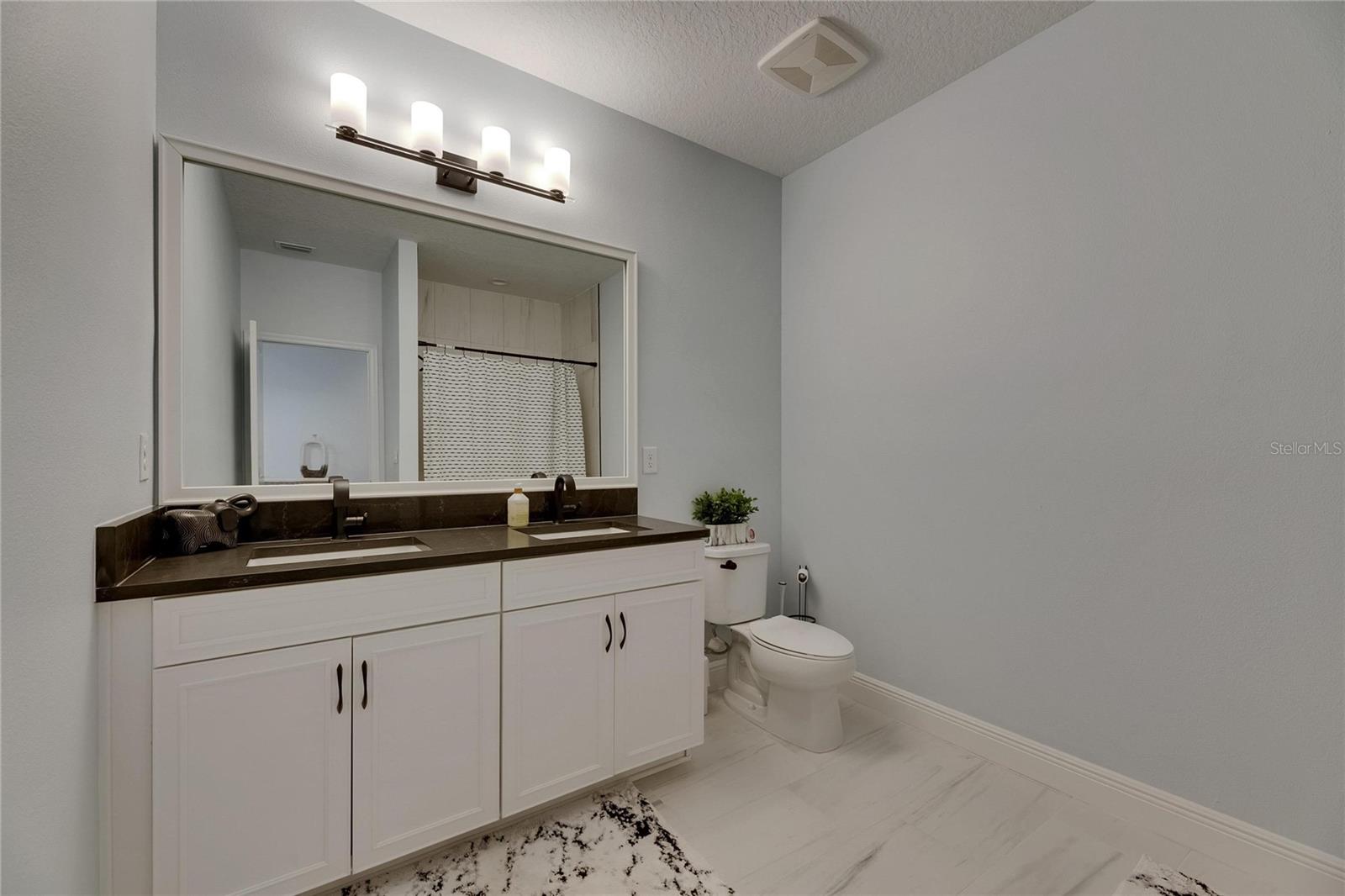 14421 SWISS BRIDGE DR, LITHIA, FL, 33547