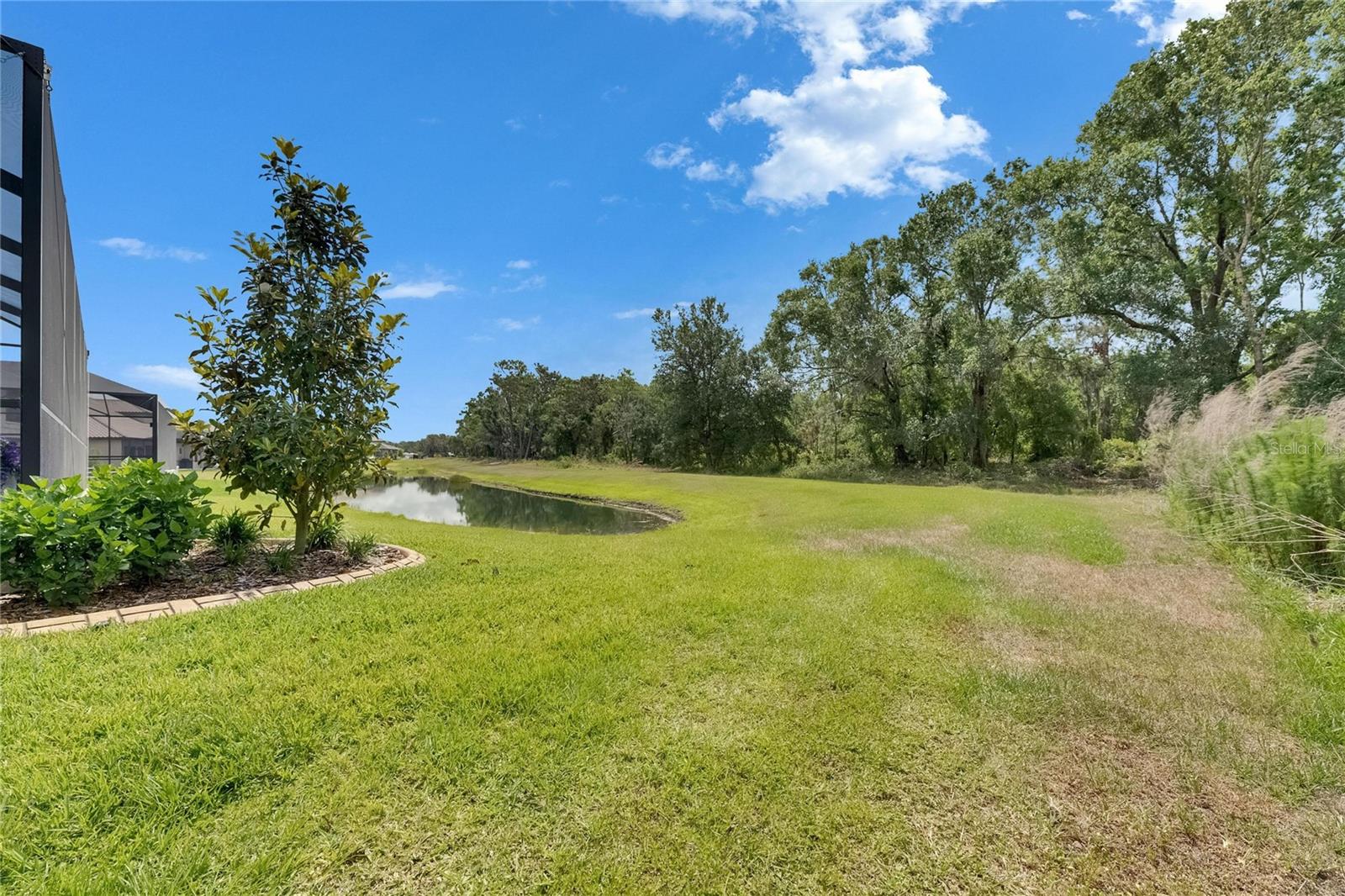 14421 SWISS BRIDGE DR, LITHIA, FL, 33547