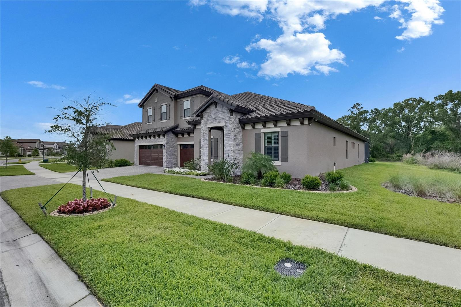 14421 SWISS BRIDGE DR, LITHIA, FL, 33547