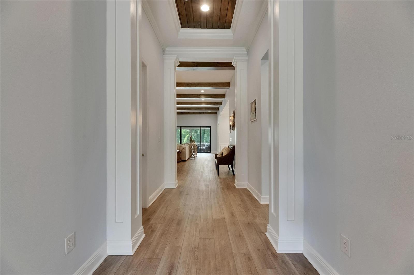 14421 SWISS BRIDGE DR, LITHIA, FL, 33547