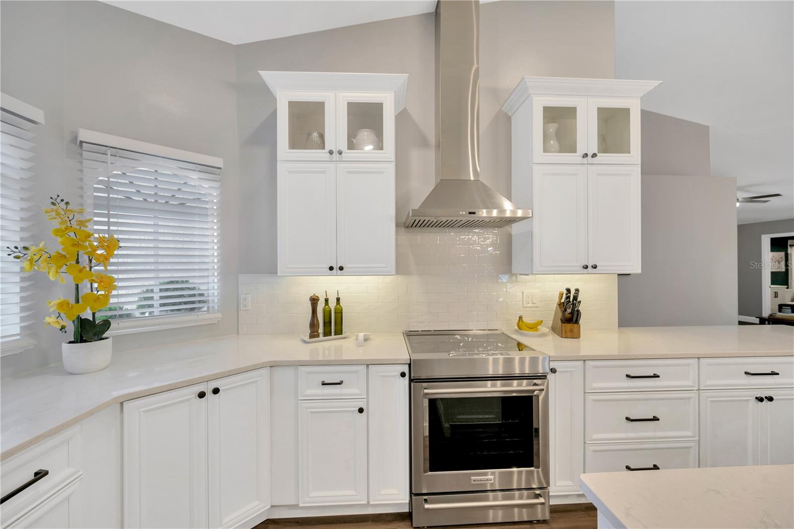 1623 BAYHILL DR, OLDSMAR, FL, 34677