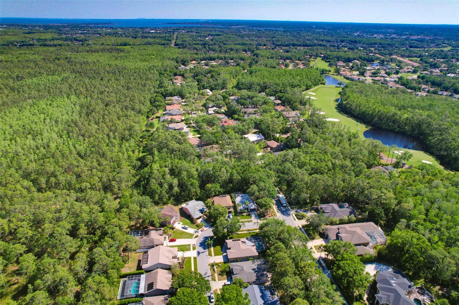 1623 BAYHILL DR, OLDSMAR, FL, 34677