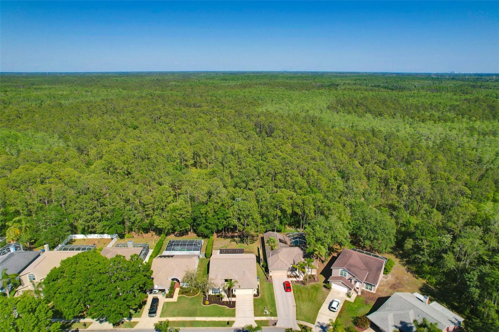 1623 BAYHILL DR, OLDSMAR, FL, 34677