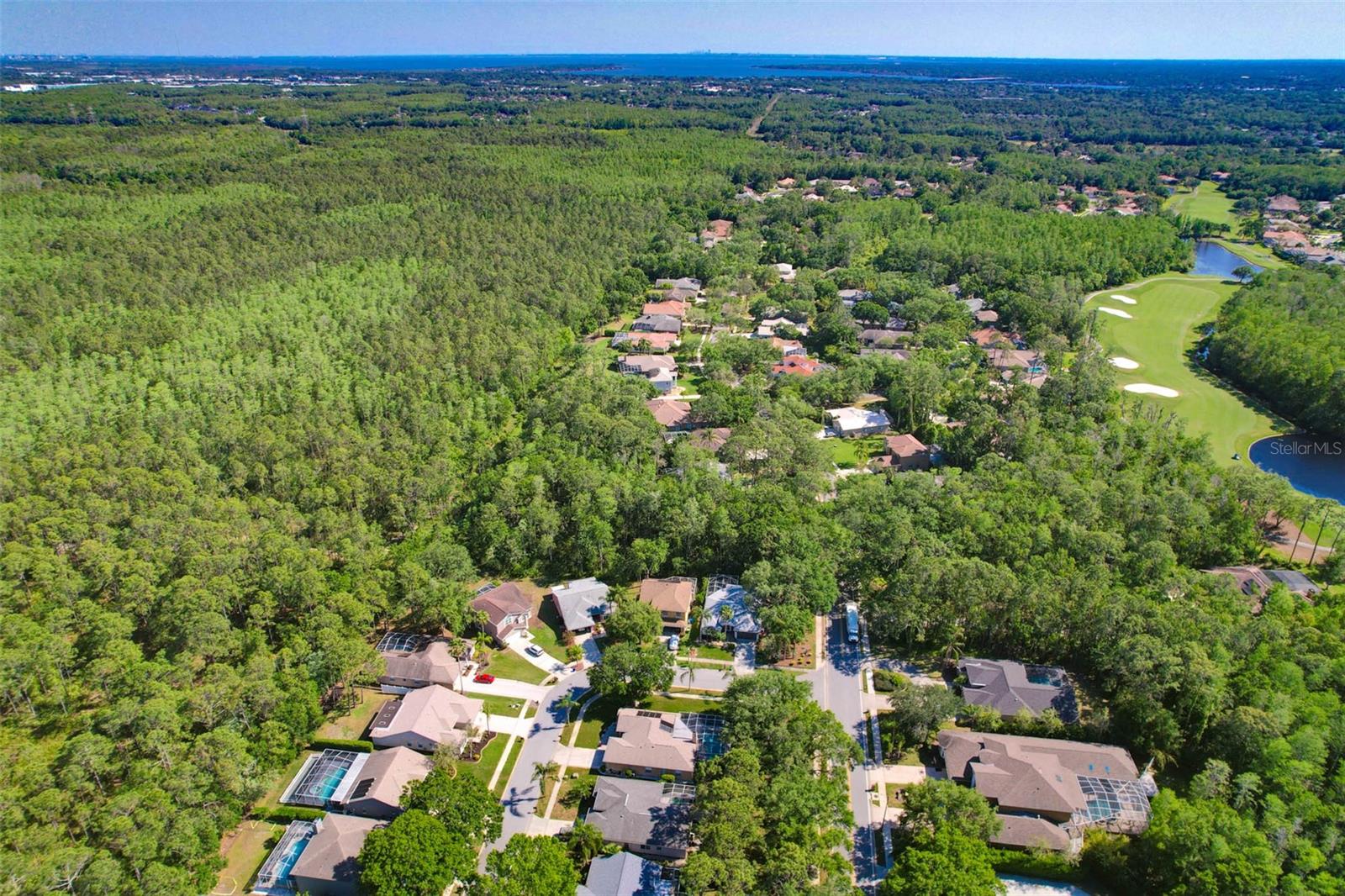 1623 BAYHILL DR, OLDSMAR, FL, 34677