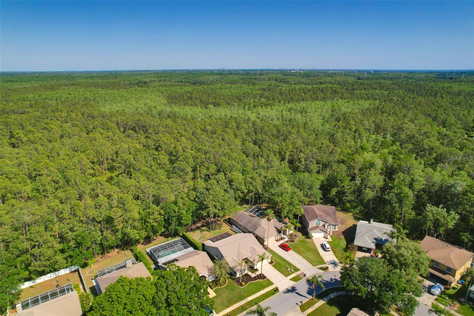 1623 BAYHILL DR, OLDSMAR, FL, 34677