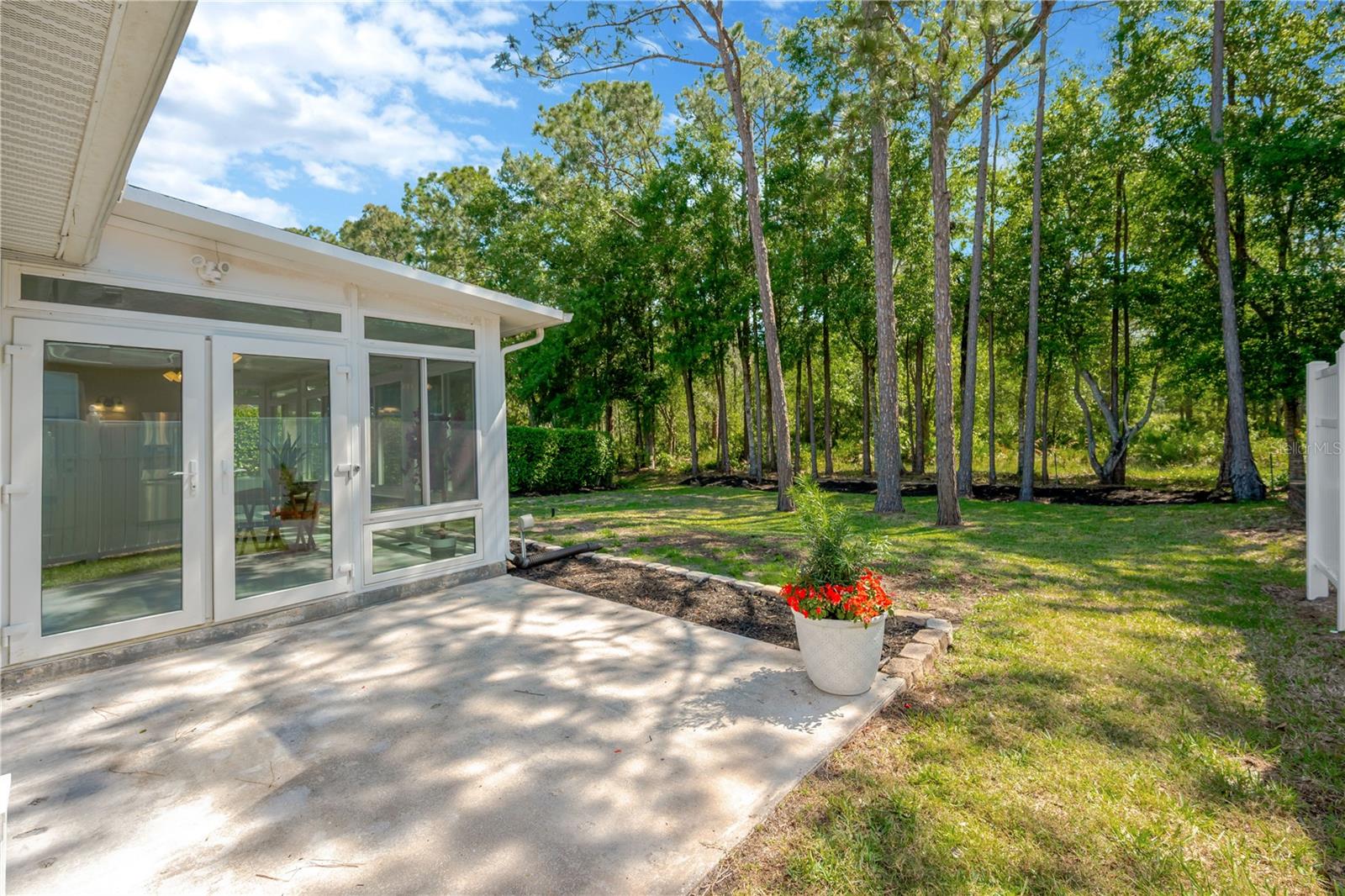 1623 BAYHILL DR, OLDSMAR, FL, 34677