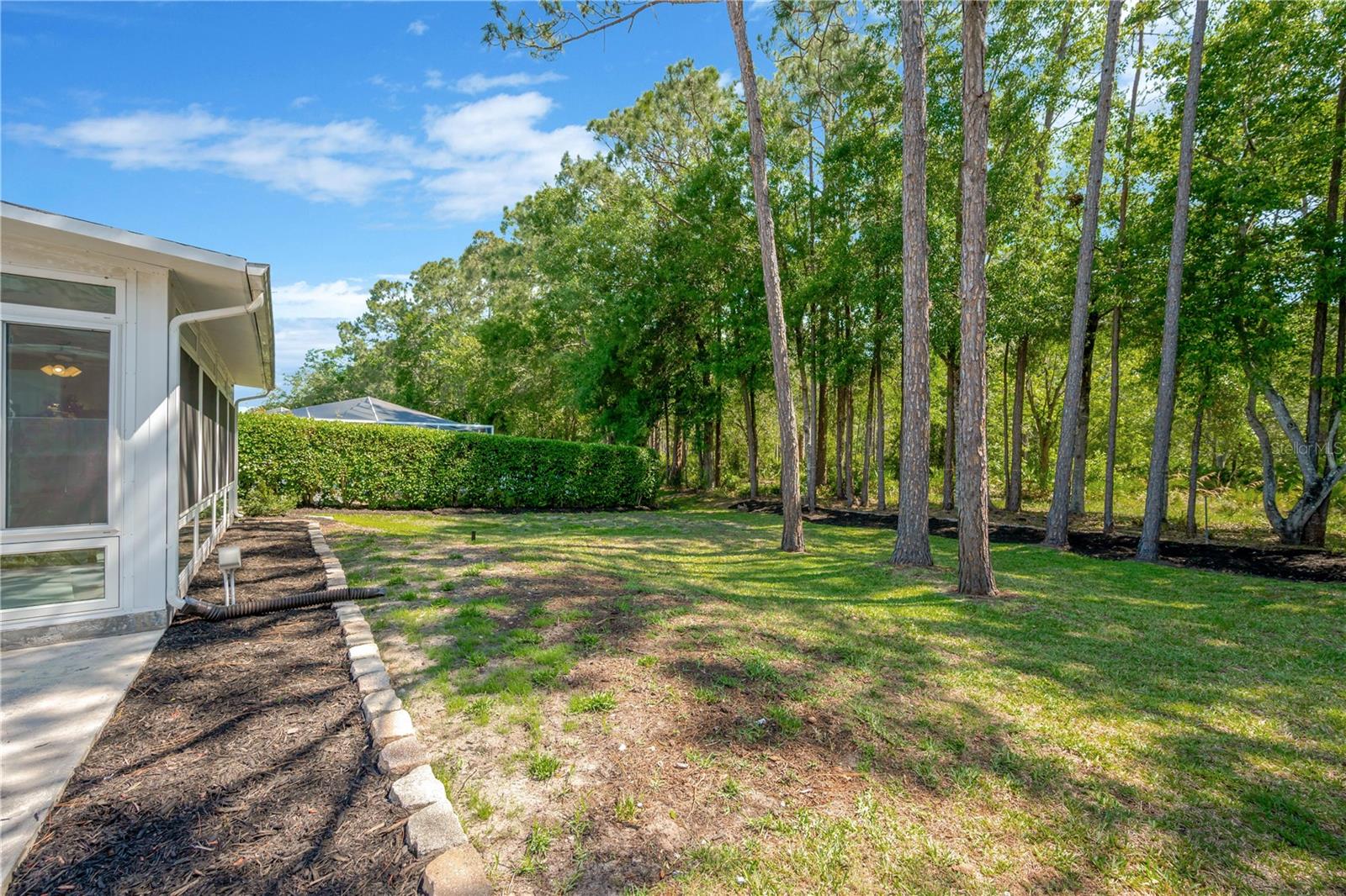 1623 BAYHILL DR, OLDSMAR, FL, 34677