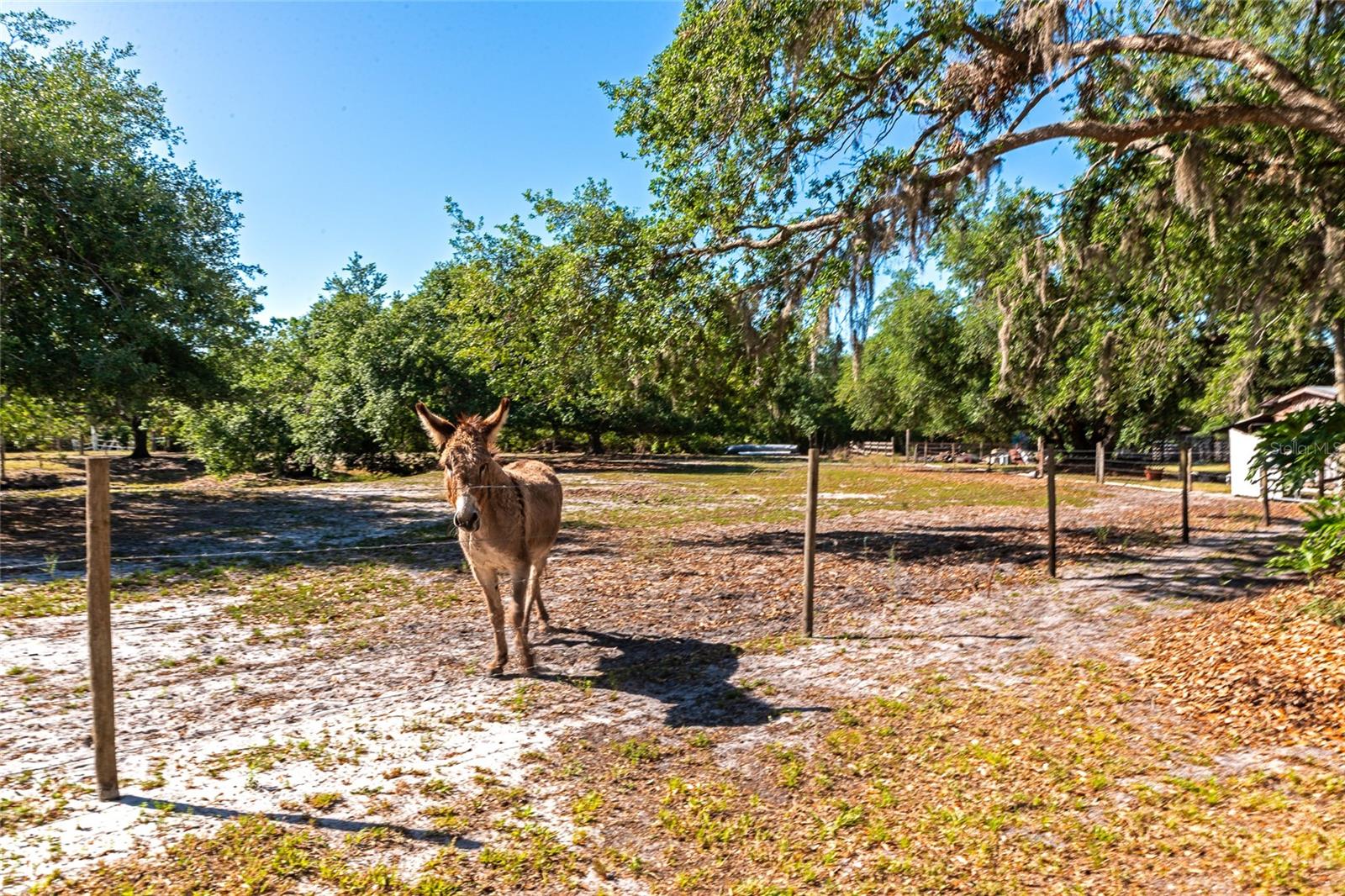 4876 253RD ST E, MYAKKA CITY, FL, 34251