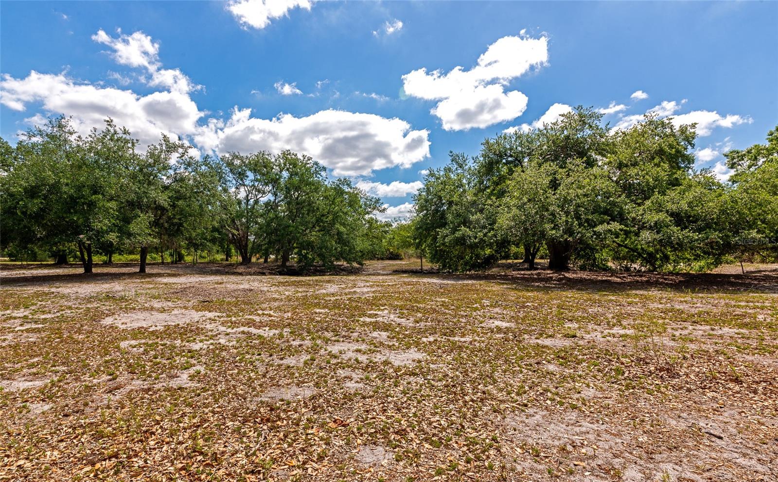 4876 253RD ST E, MYAKKA CITY, FL, 34251