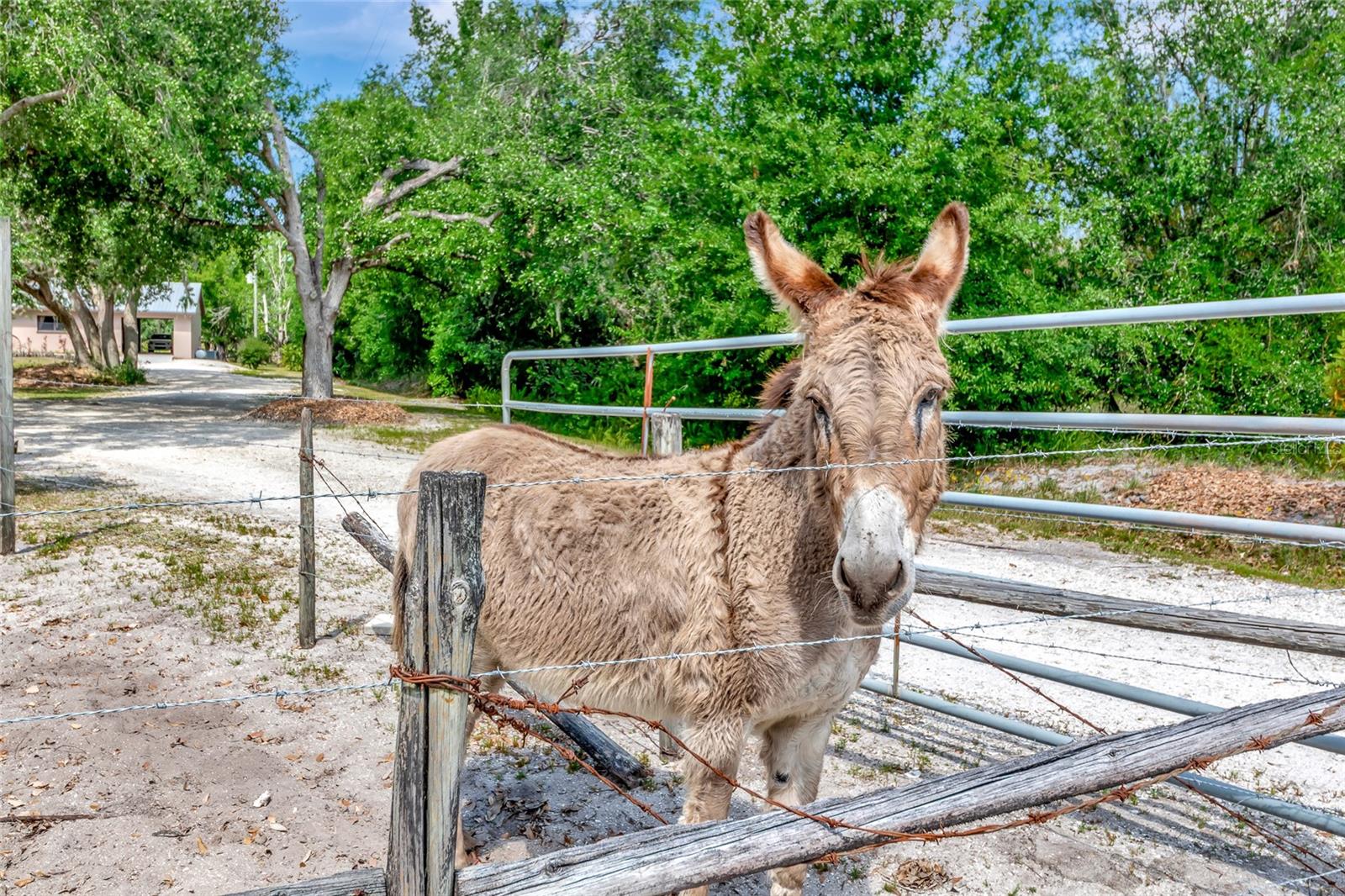 4876 253RD ST E, MYAKKA CITY, FL, 34251