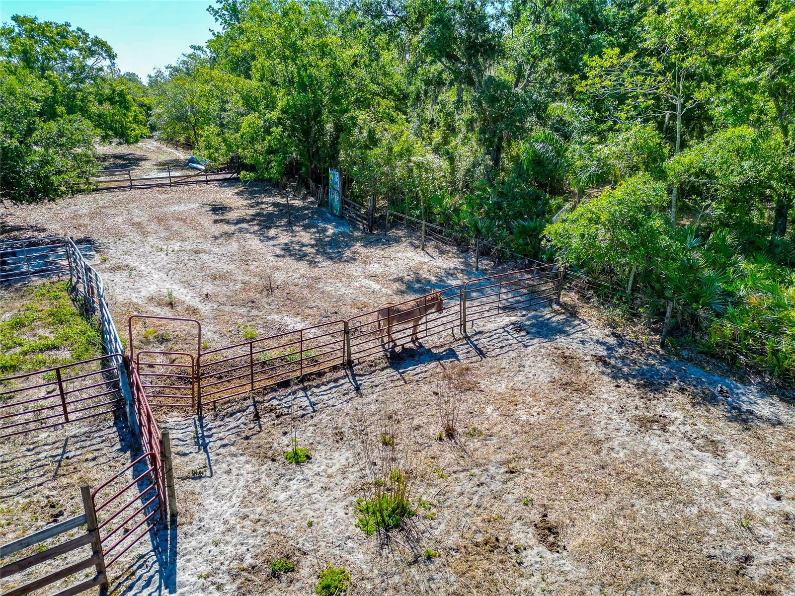 4876 253RD ST E, MYAKKA CITY, FL, 34251