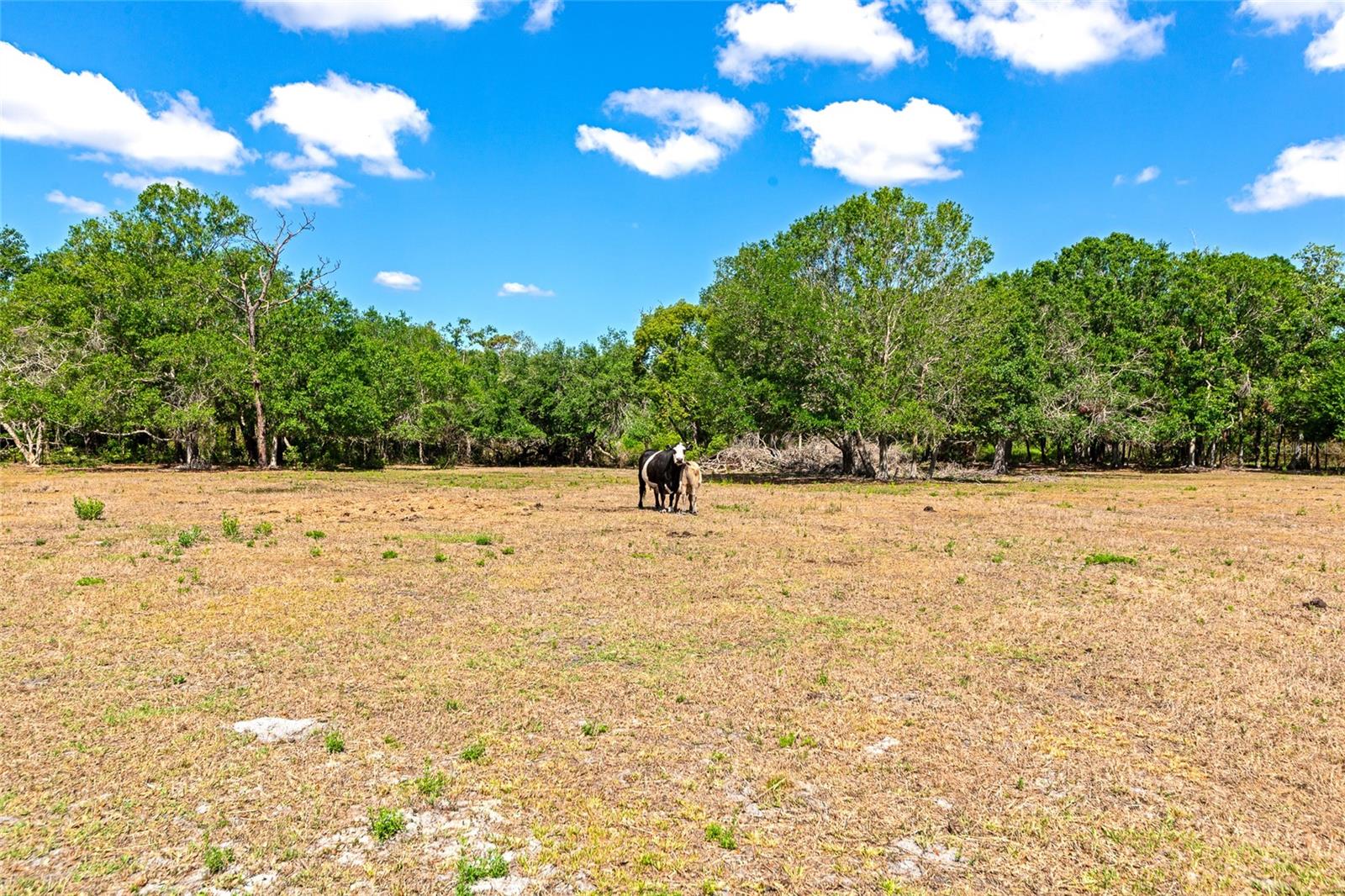 4876 253RD ST E, MYAKKA CITY, FL, 34251