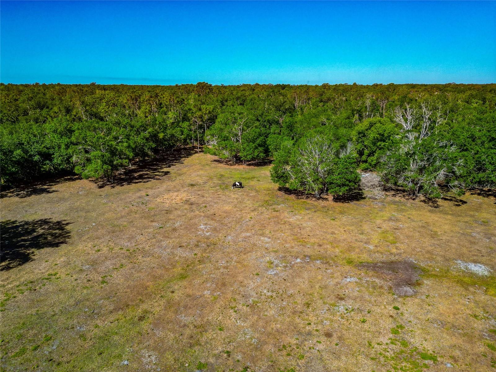 4876 253RD ST E, MYAKKA CITY, FL, 34251