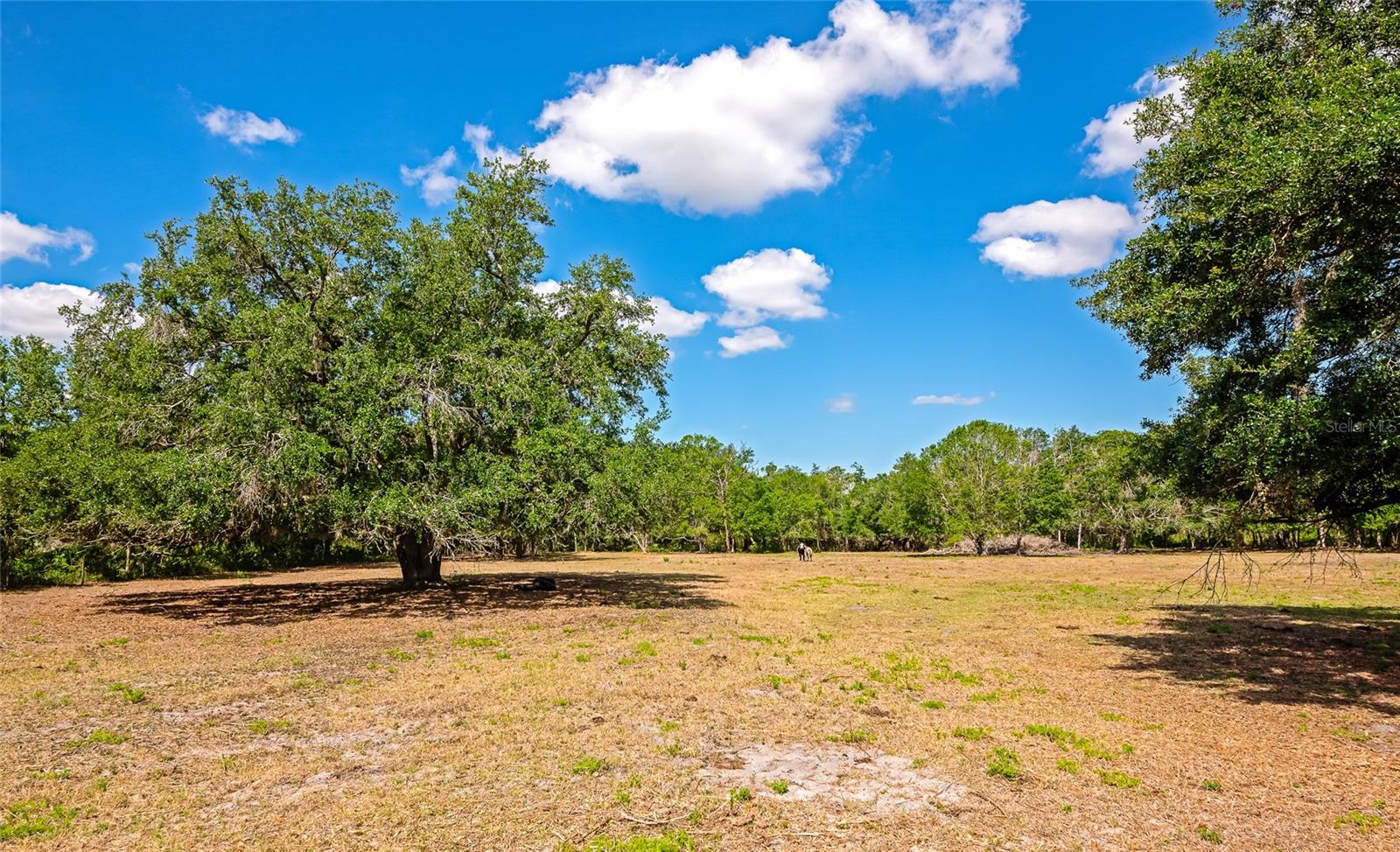 4876 253RD ST E, MYAKKA CITY, FL, 34251