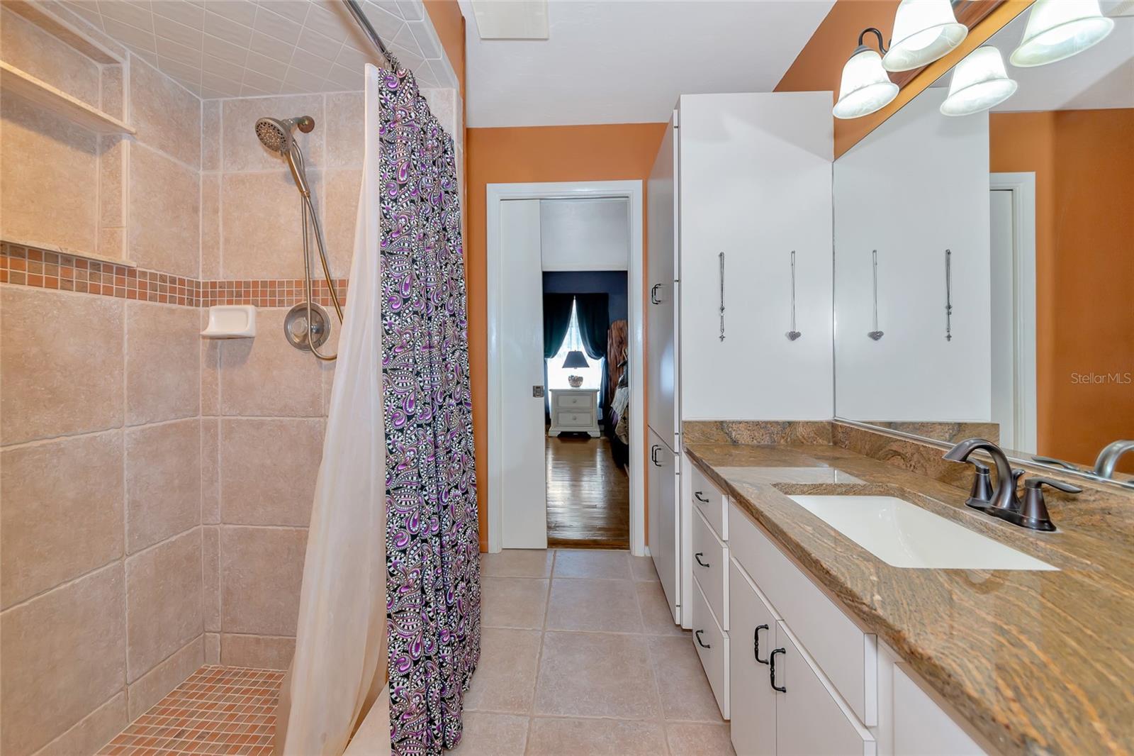 4876 253RD ST E, MYAKKA CITY, FL, 34251