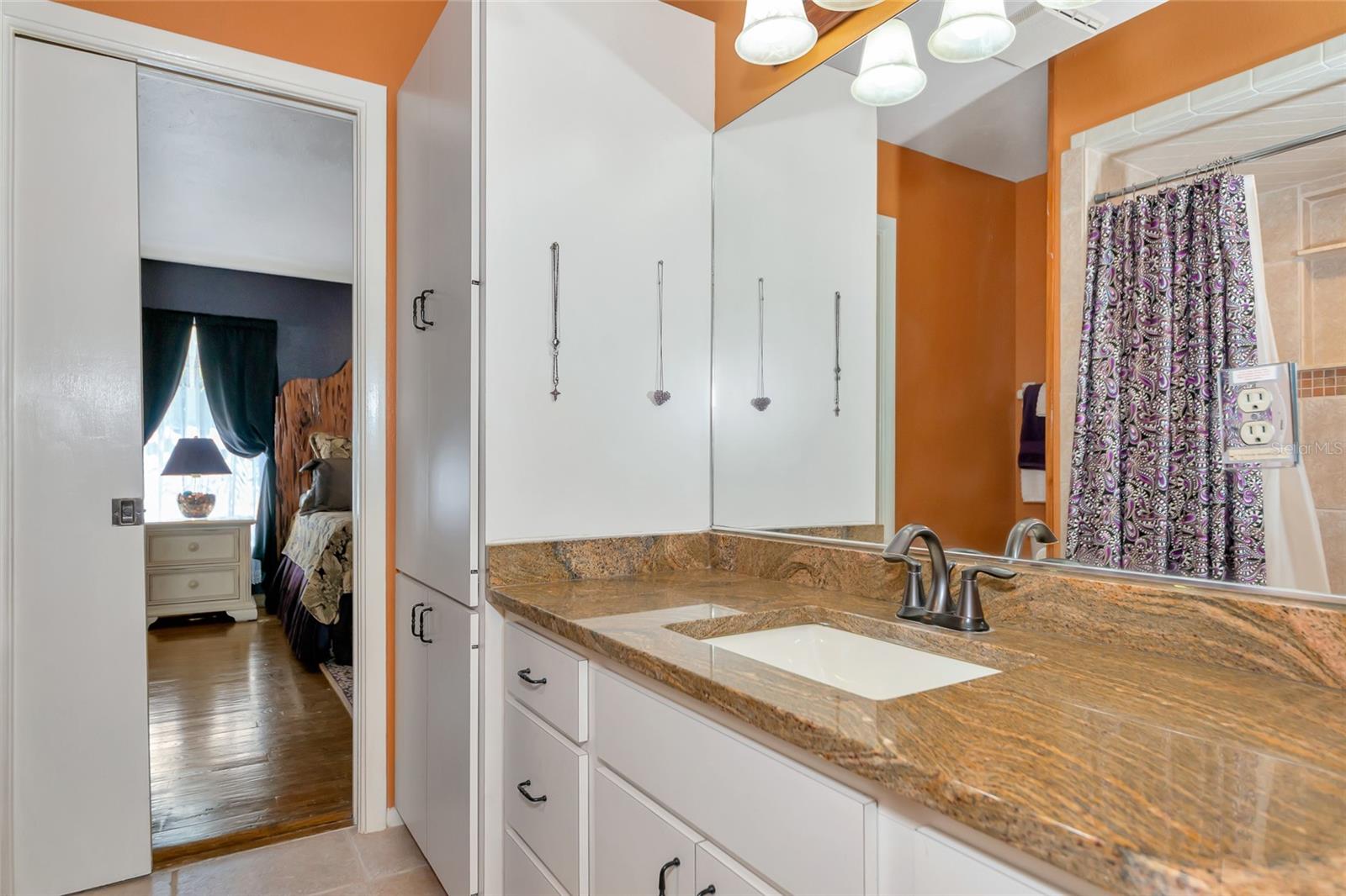 4876 253RD ST E, MYAKKA CITY, FL, 34251