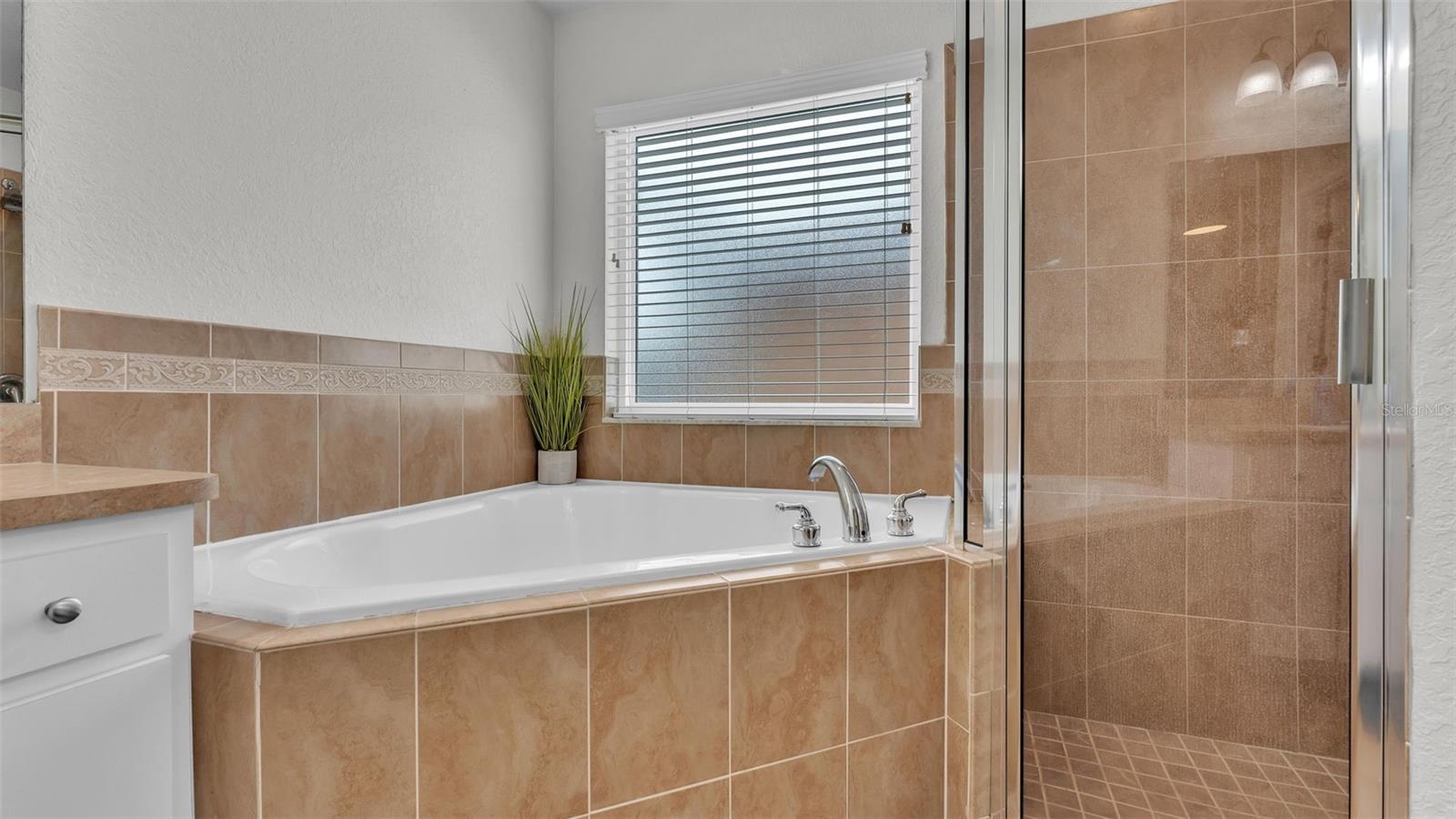 4005 BYRDS CROSSING DR, LAKELAND, FL, 33812