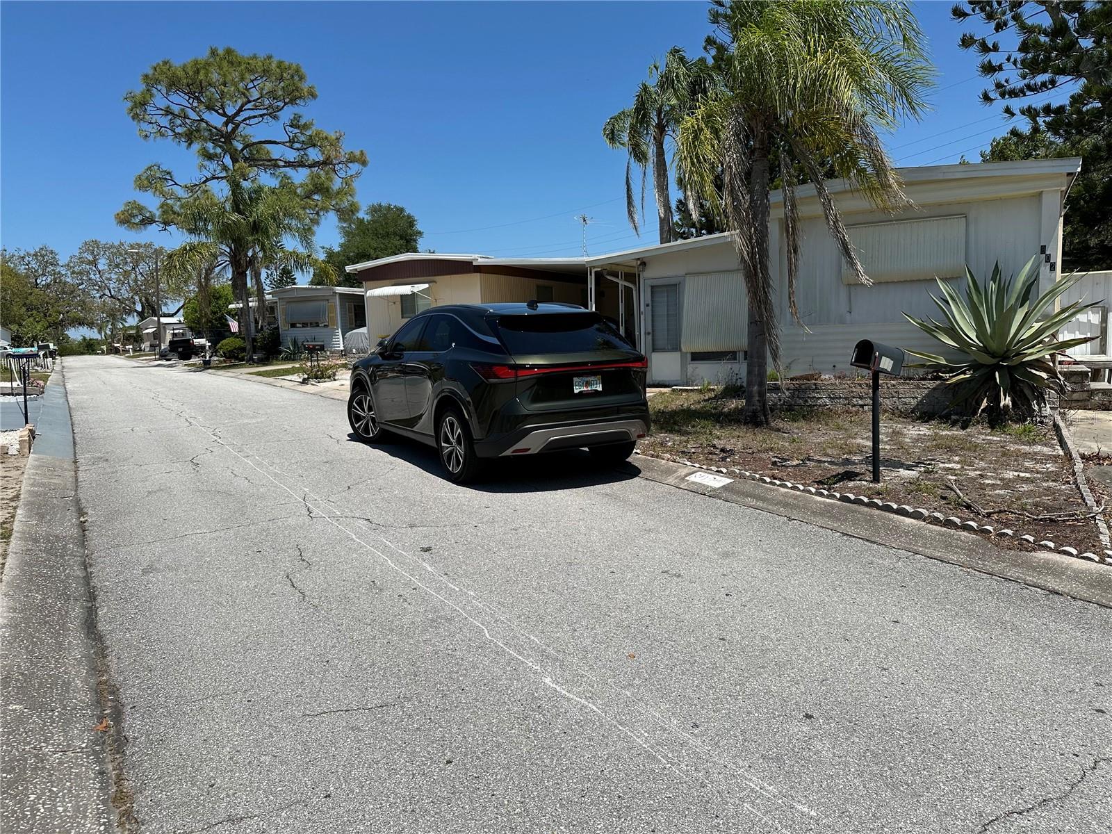 803 FRANCES DR, TARPON SPRINGS, FL, 34689