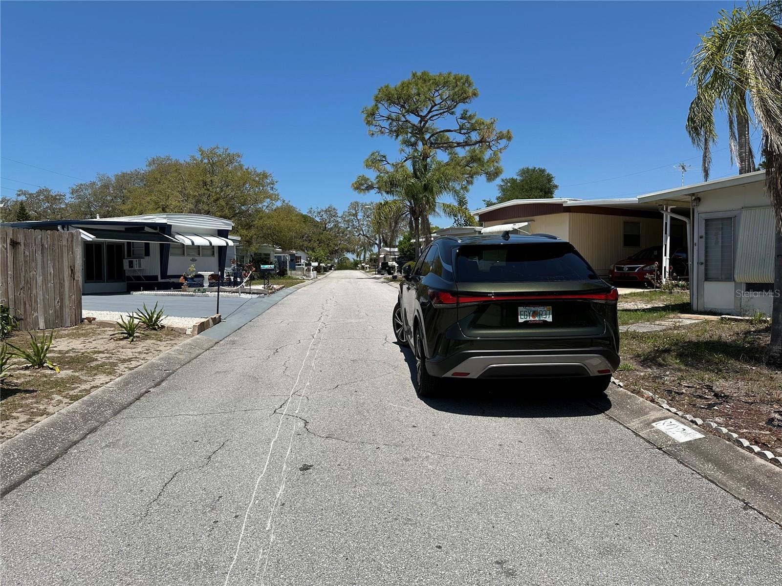 803 FRANCES DR, TARPON SPRINGS, FL, 34689