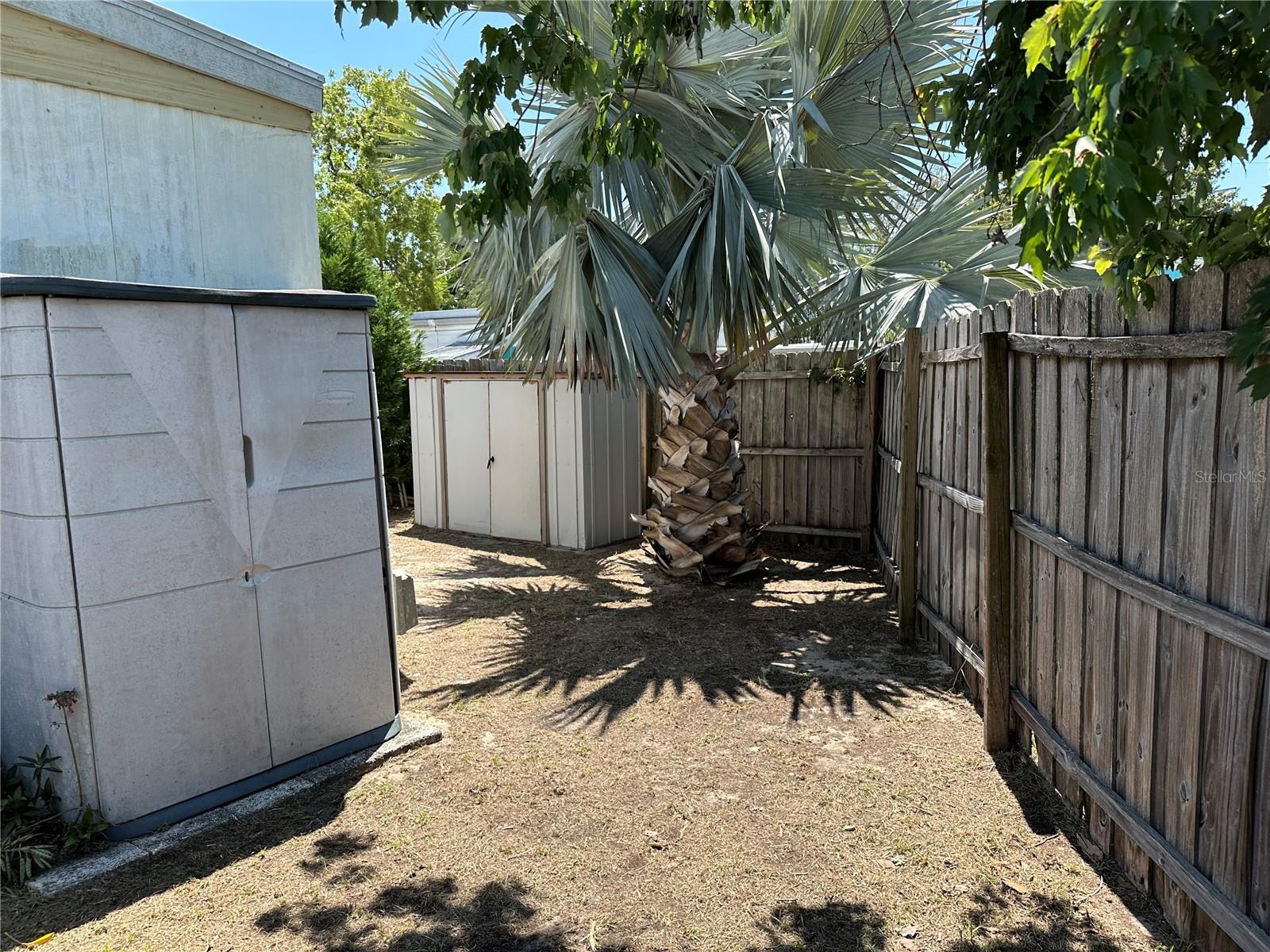 803 FRANCES DR, TARPON SPRINGS, FL, 34689