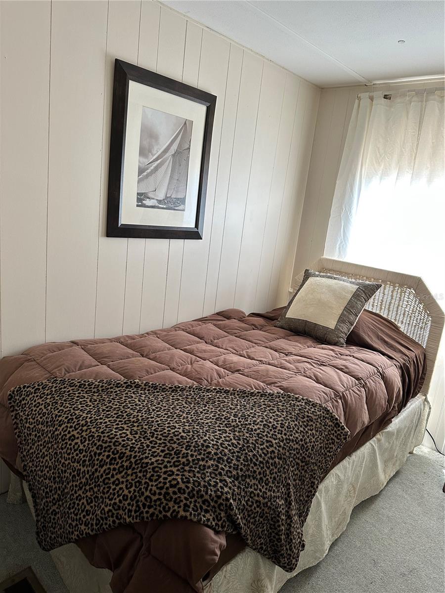 803 FRANCES DR, TARPON SPRINGS, FL, 34689