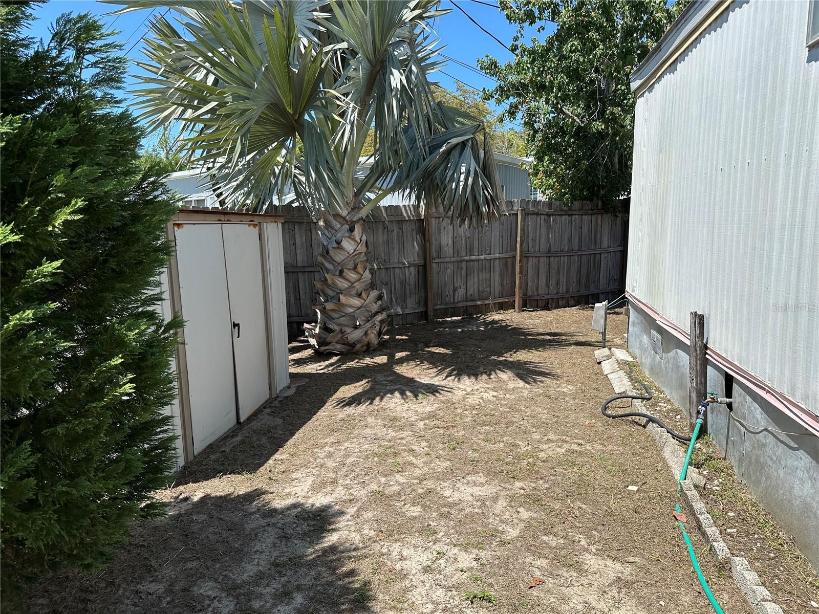 803 FRANCES DR, TARPON SPRINGS, FL, 34689