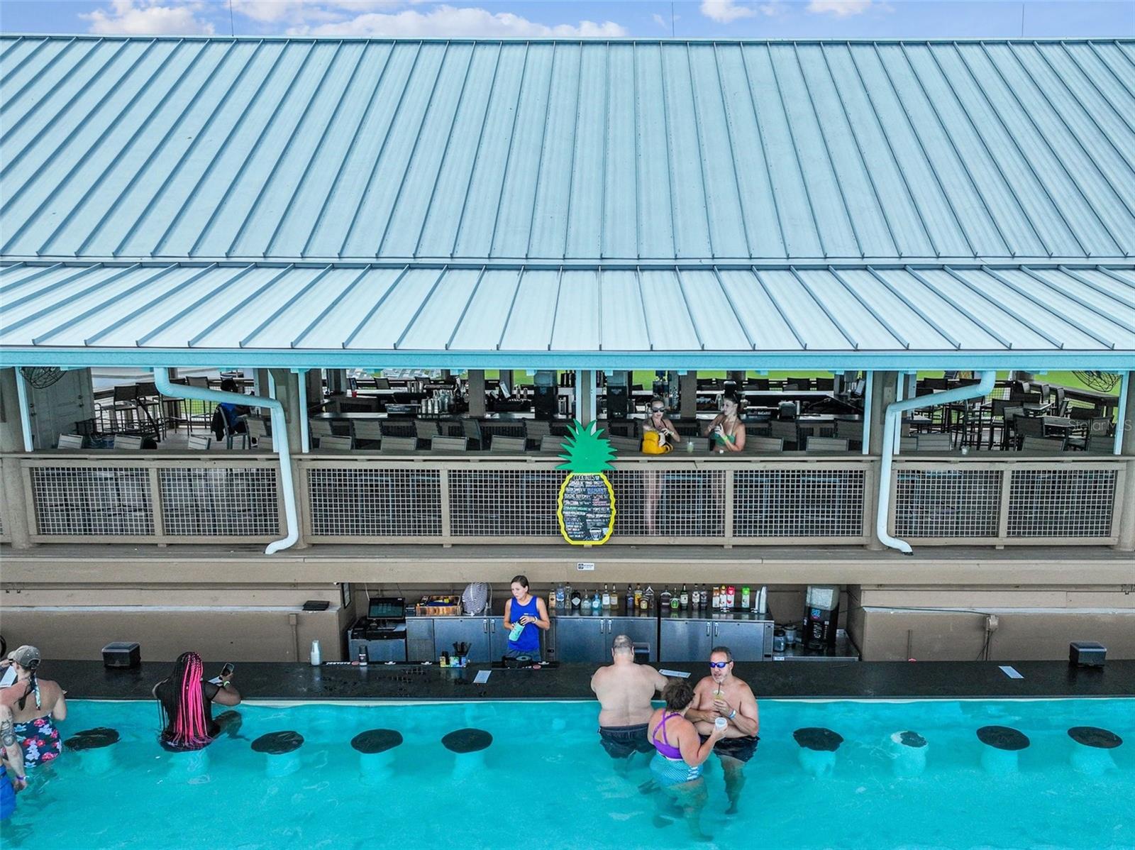 16625 GOOSE RIBBON PL, WIMAUMA, FL, 33598